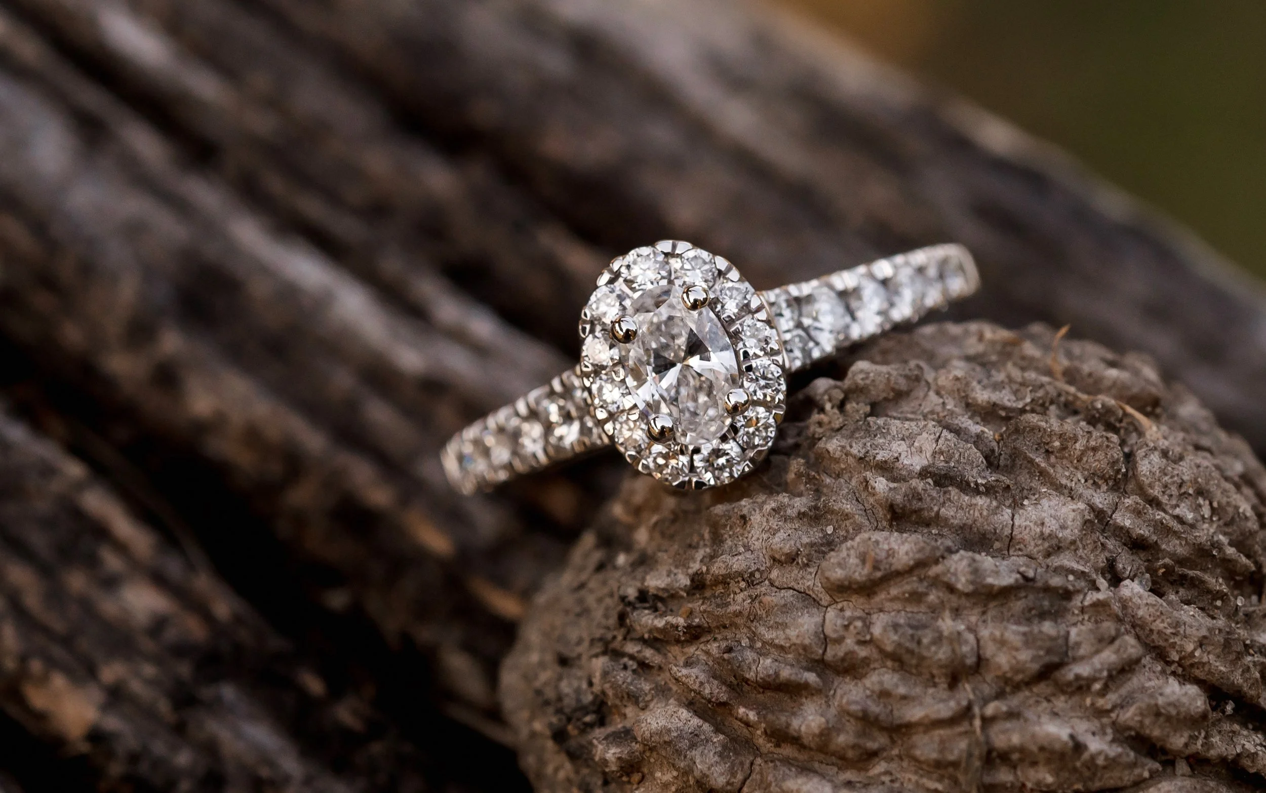 Anthony & Rheana 2025 (427).jpg