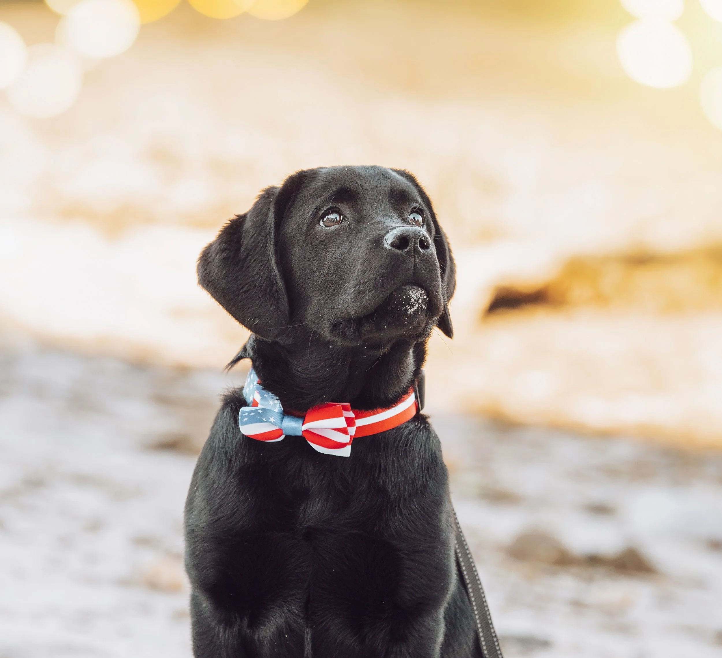 Brody 2026 (26).jpg