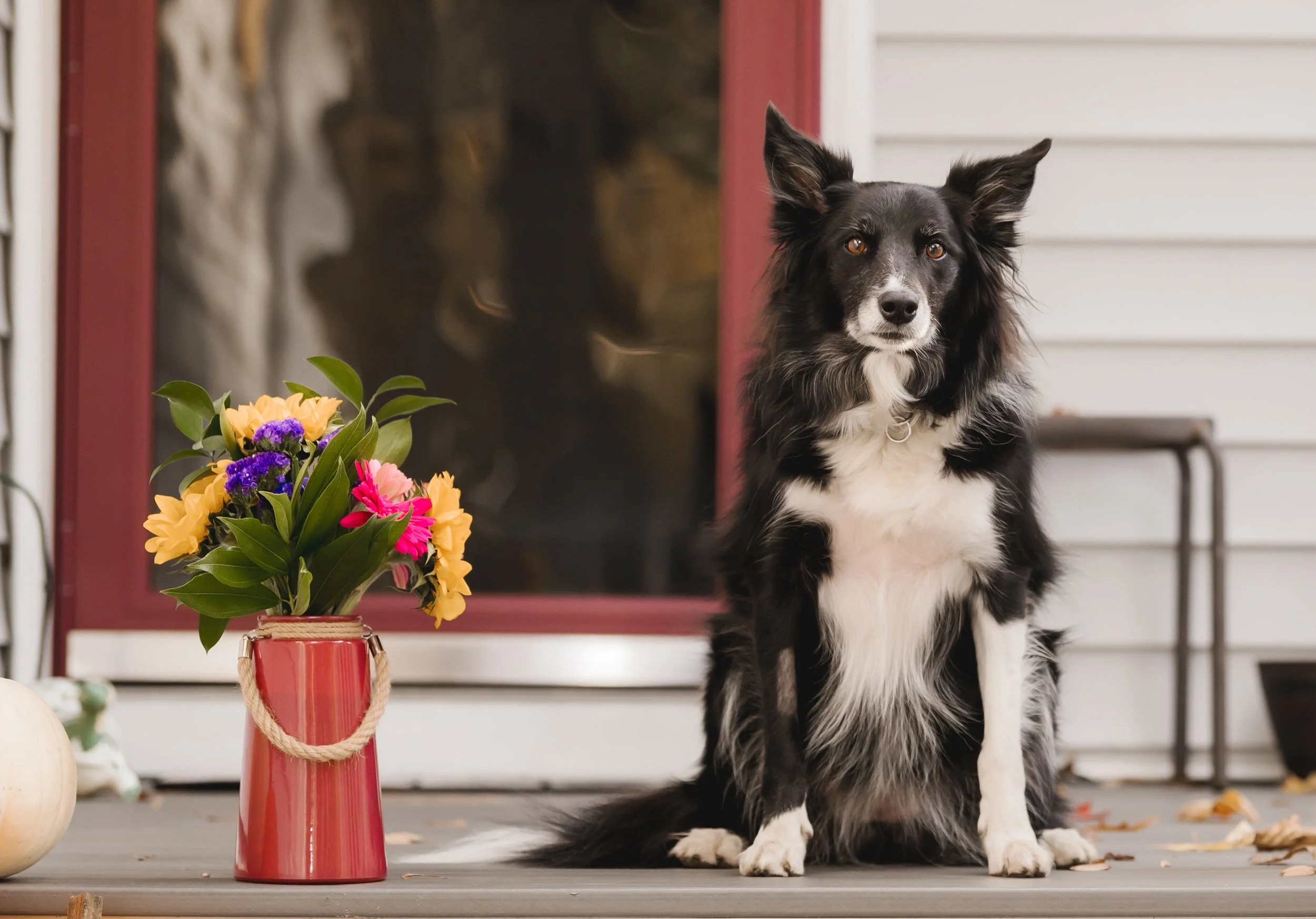 Carole & Bell 2025 (47).jpg