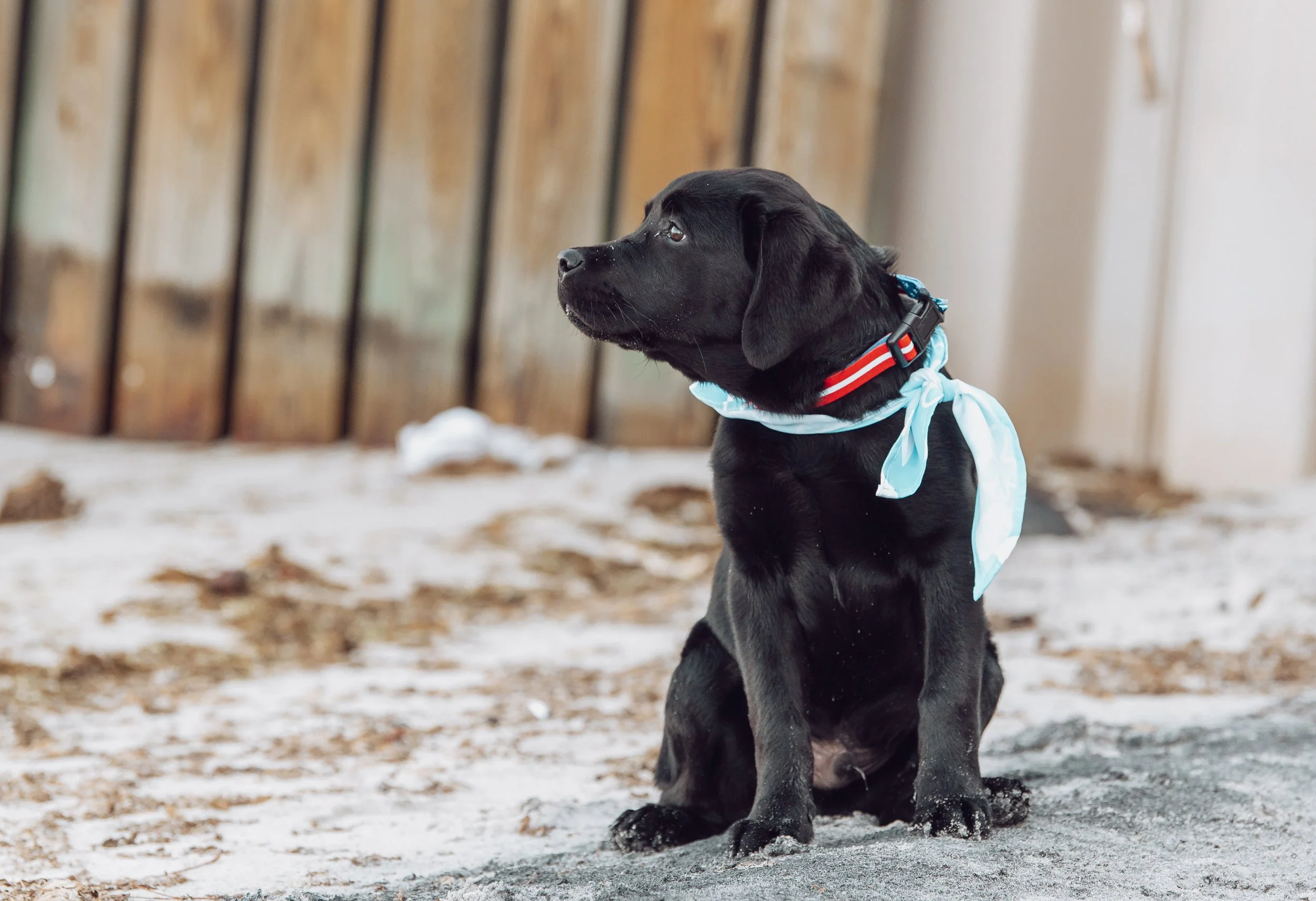 Brody 2026 (37).jpg