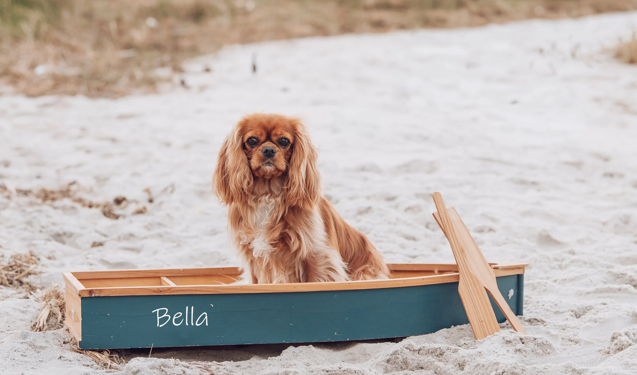 Bella 2026 (7).jpg