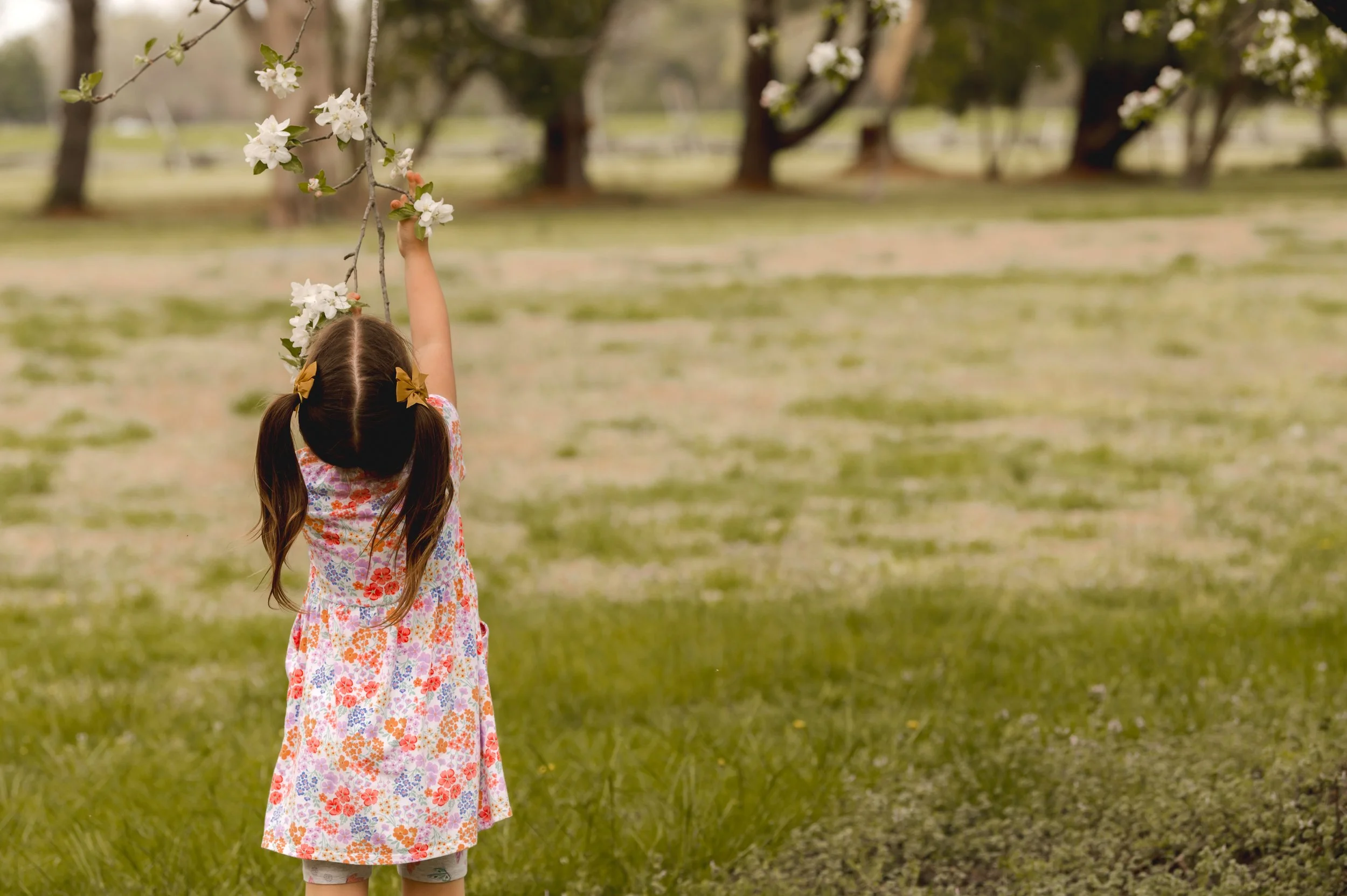 Polaski Family 2025 (37).jpg