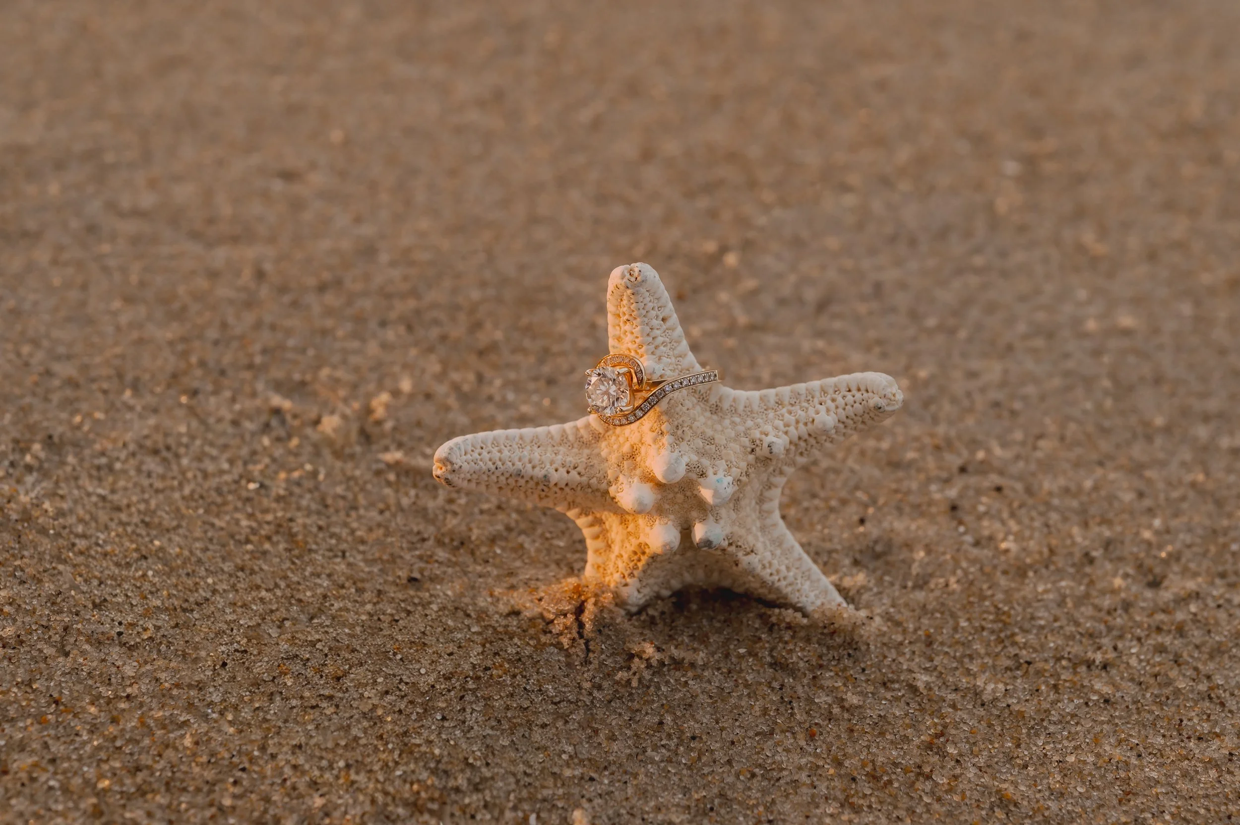 Jessica & Austin 2025 (351).jpg