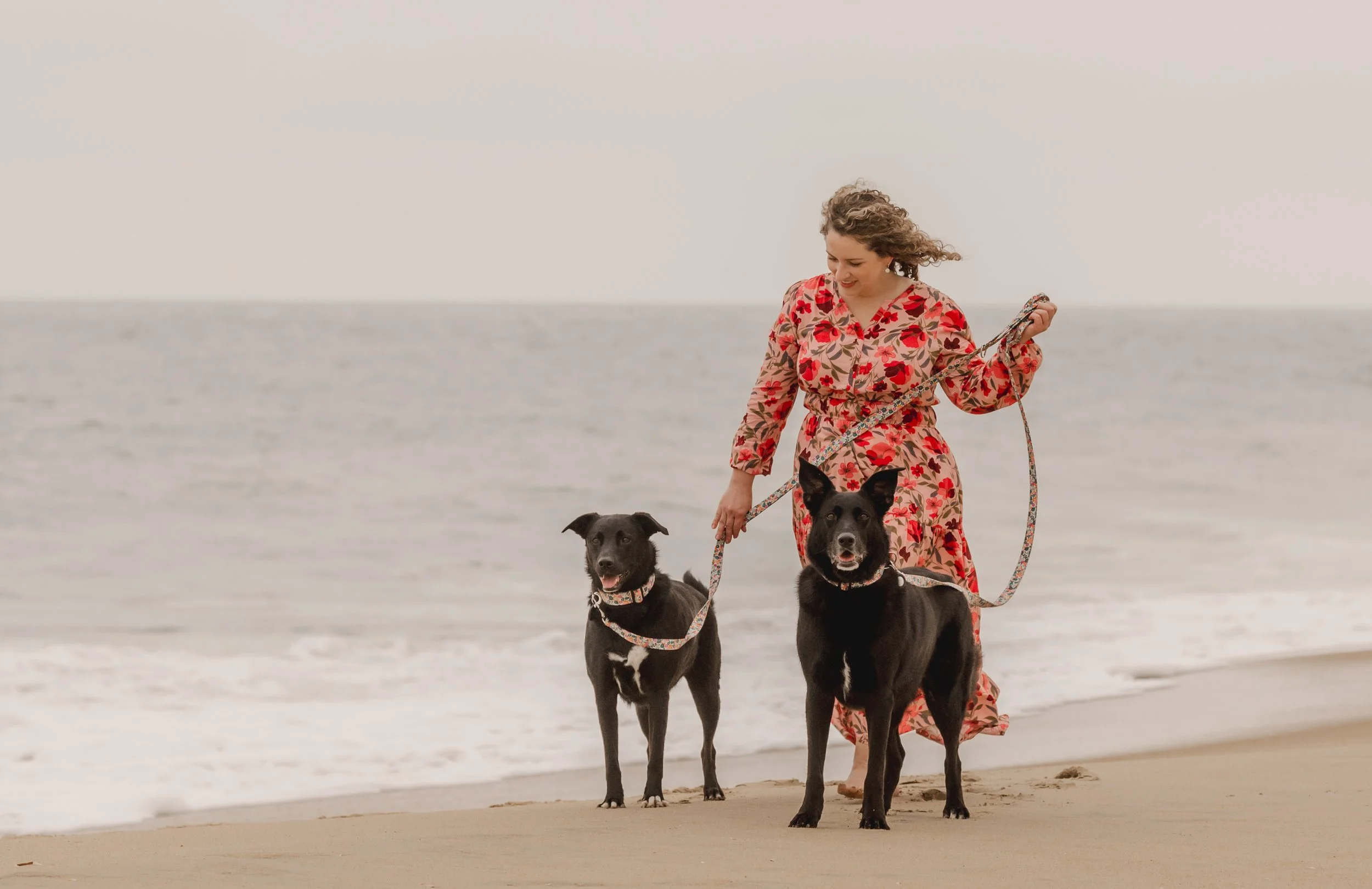 Katie & Dogs 2025 (141).jpg