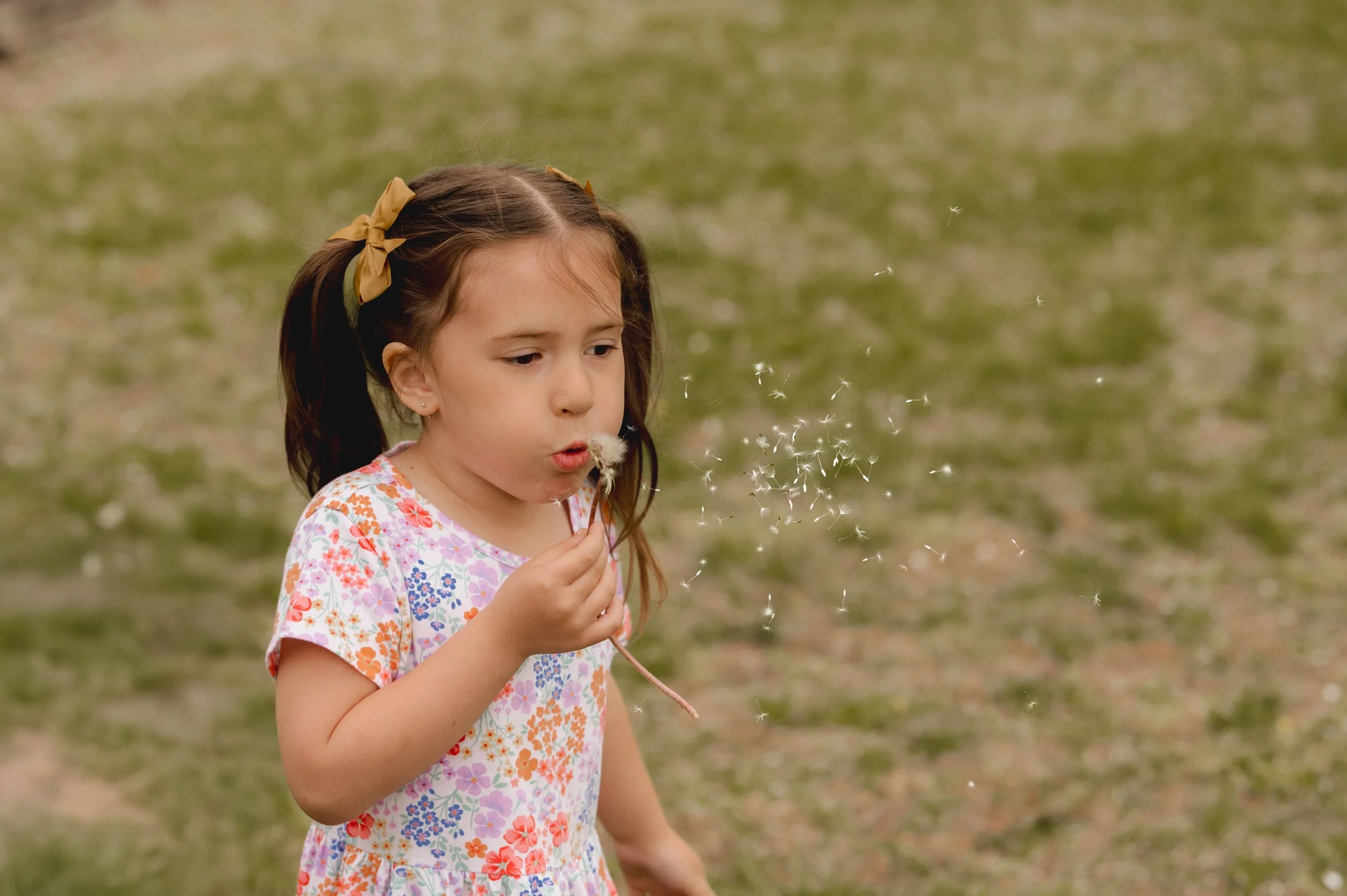 Polaski Family 2025 (1).jpg