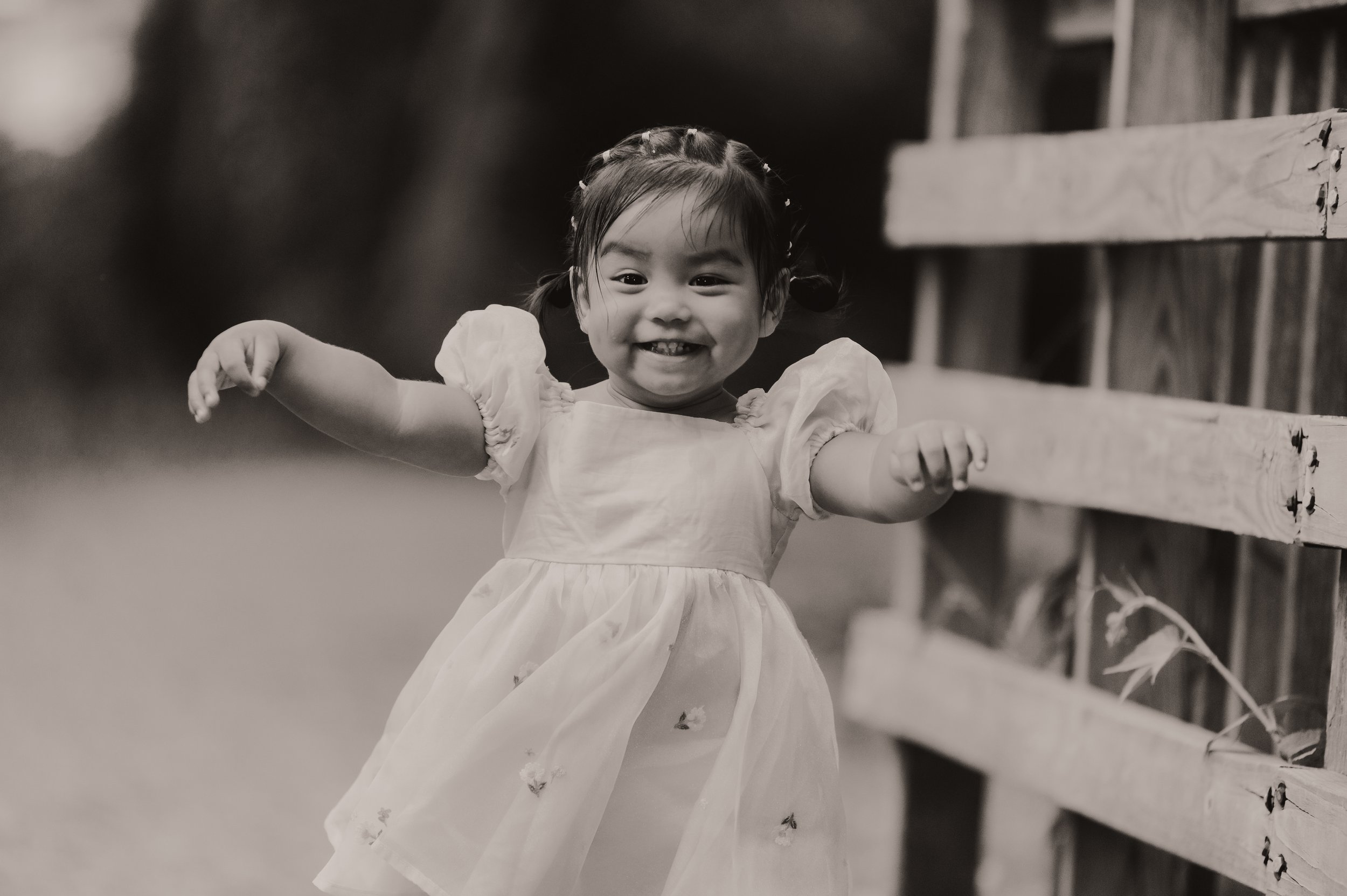 Palis 2025 (330).jpg