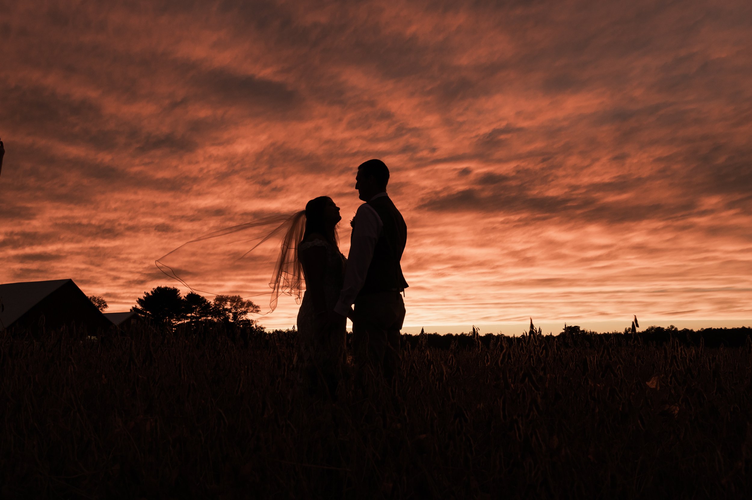 Bride & Groom Portraits (387).jpg