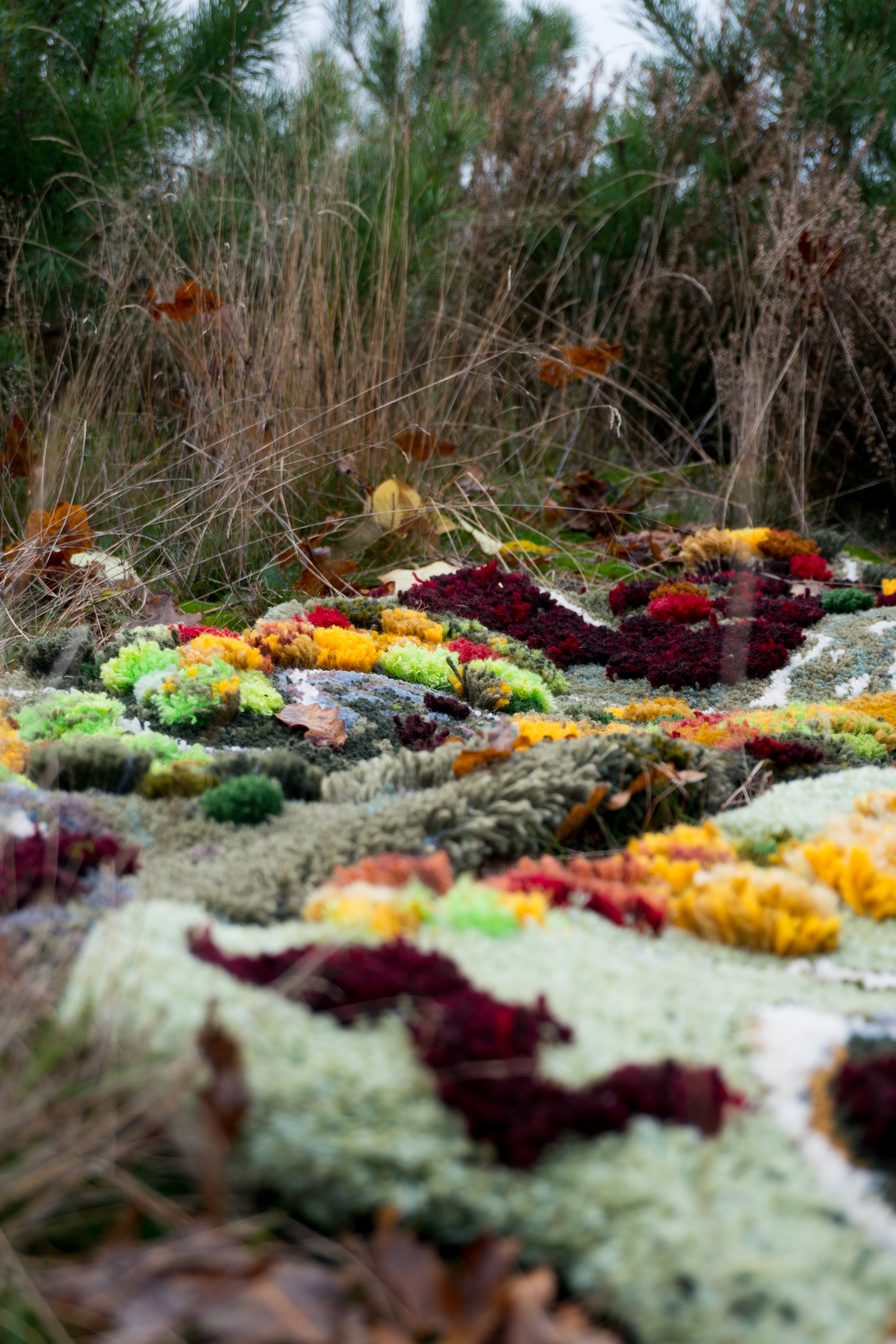 Autumn Vibration 2