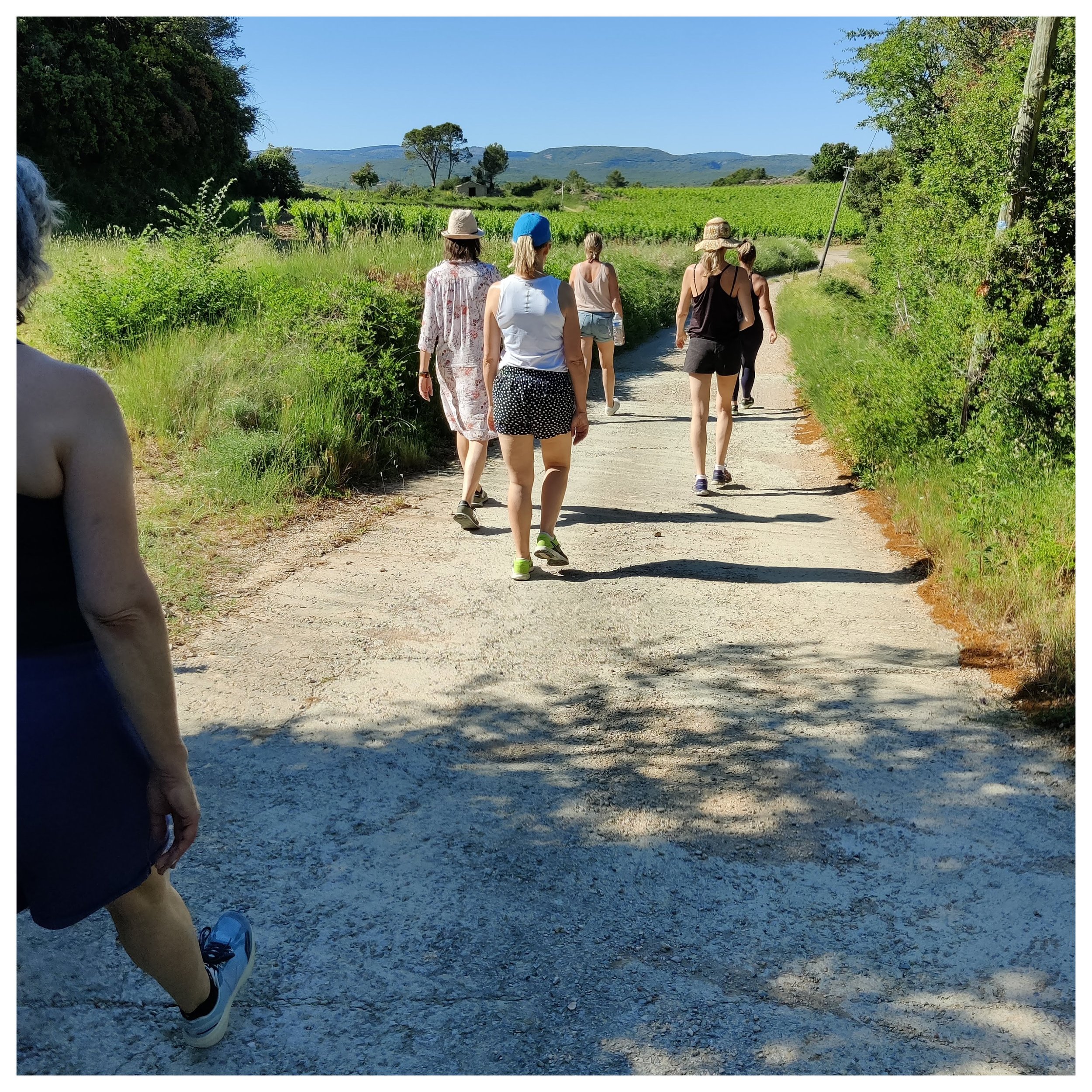 vk wandeling retreat.jpeg