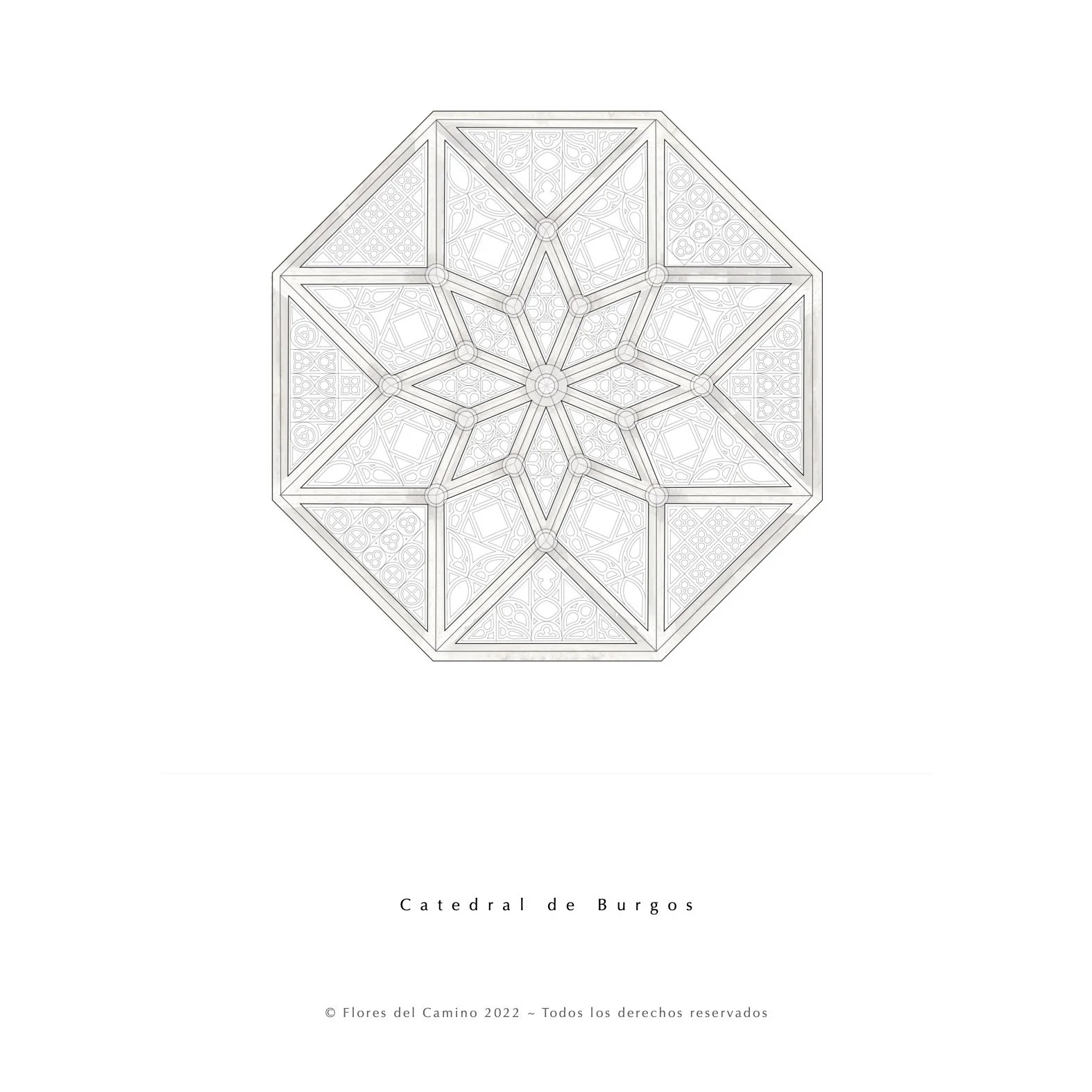 Libro Para Colorear Finished Roses8.jpg