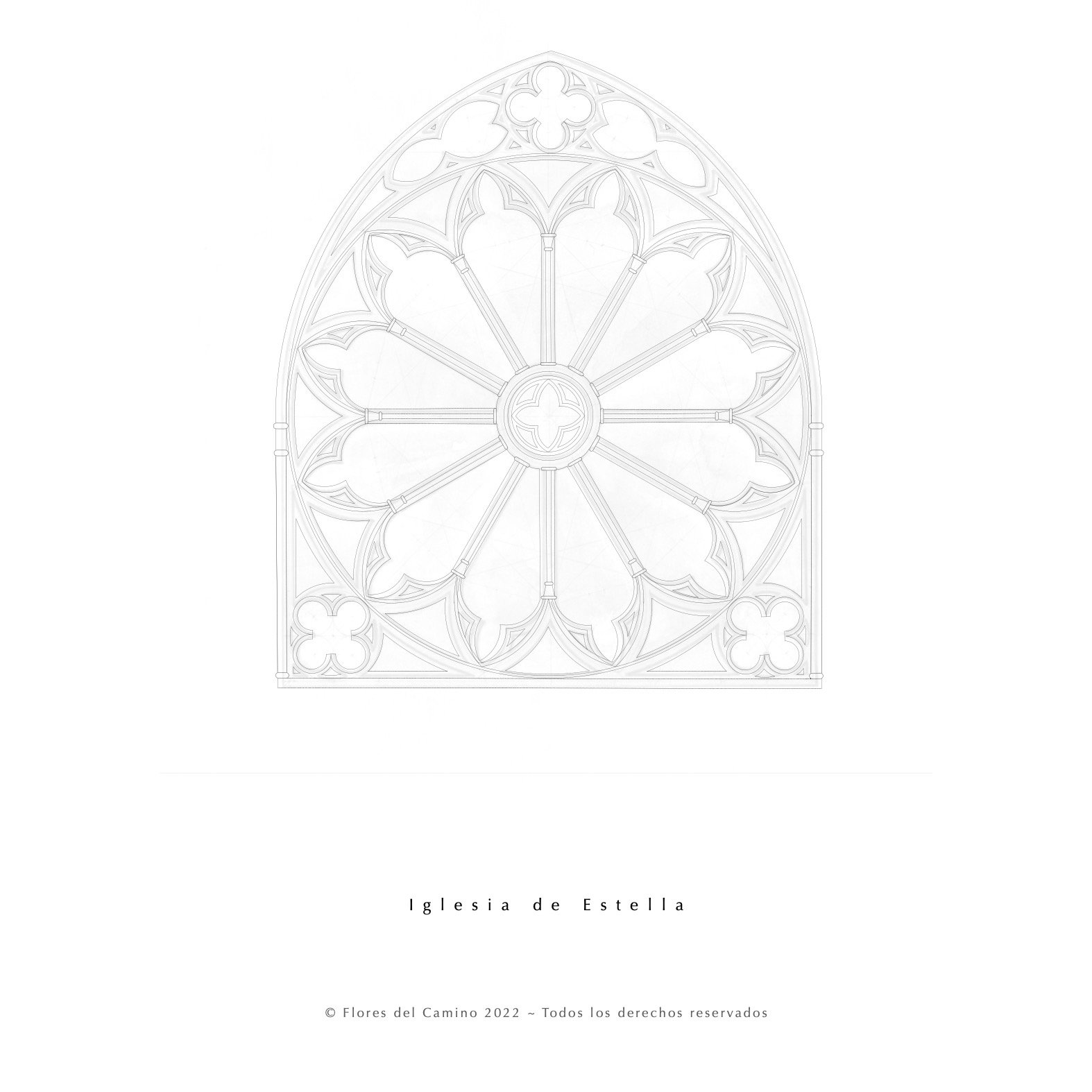 Libro Para Colorear Finished Roses5.jpg
