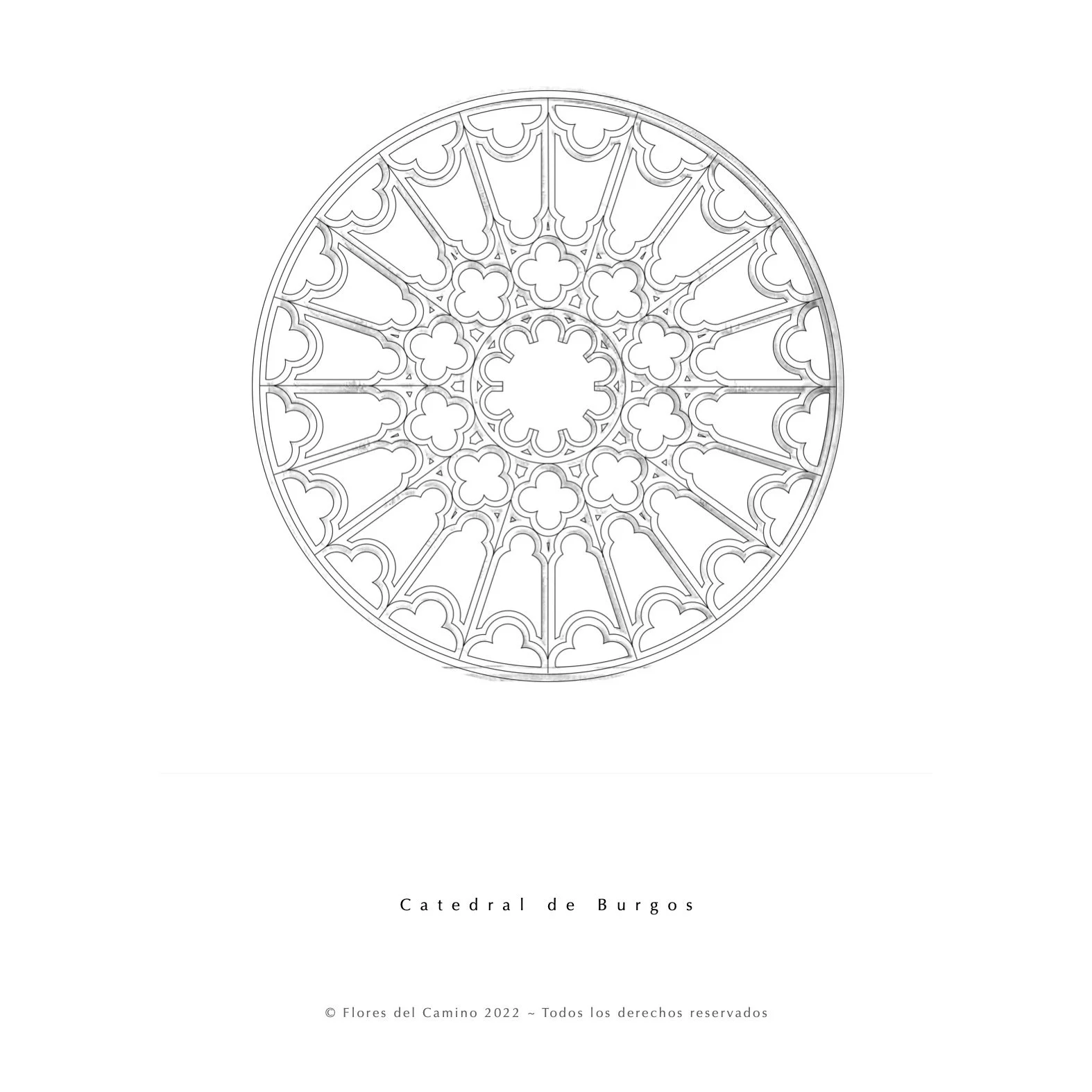 Libro Para Colorear Finished Roses7.jpg