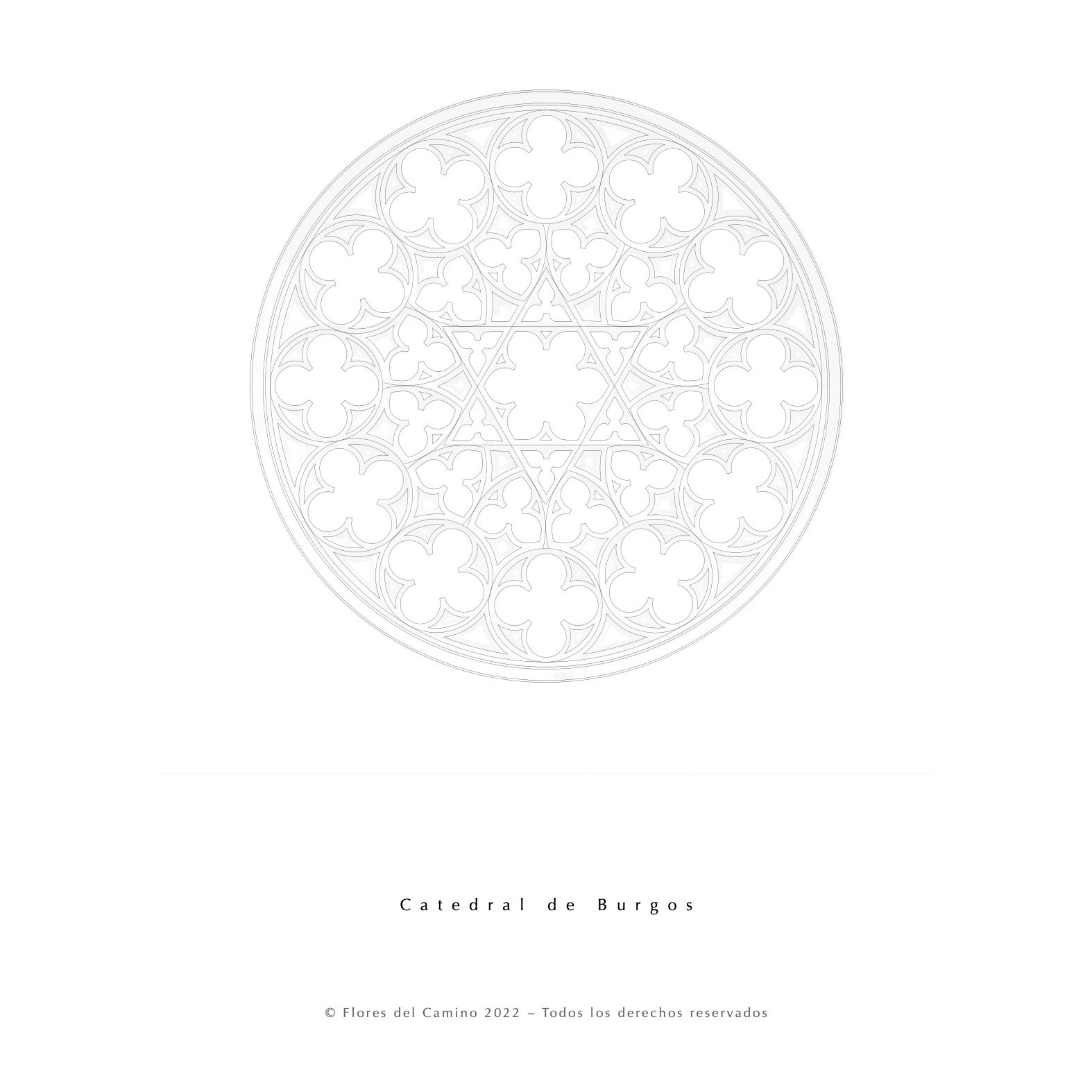 Libro Para Colorear Finished Roses6.jpg