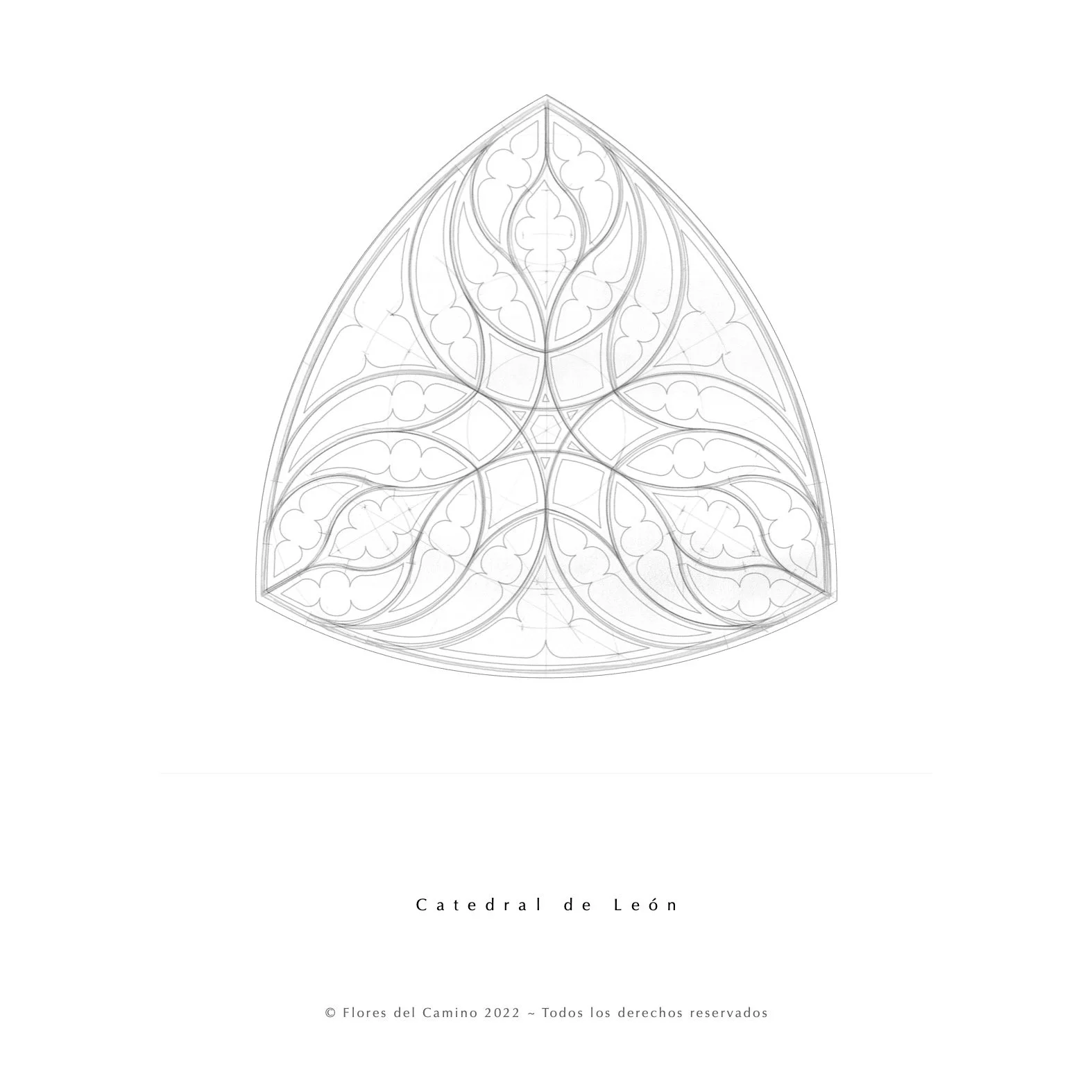 Libro Para Colorear Finished Roses11.jpg