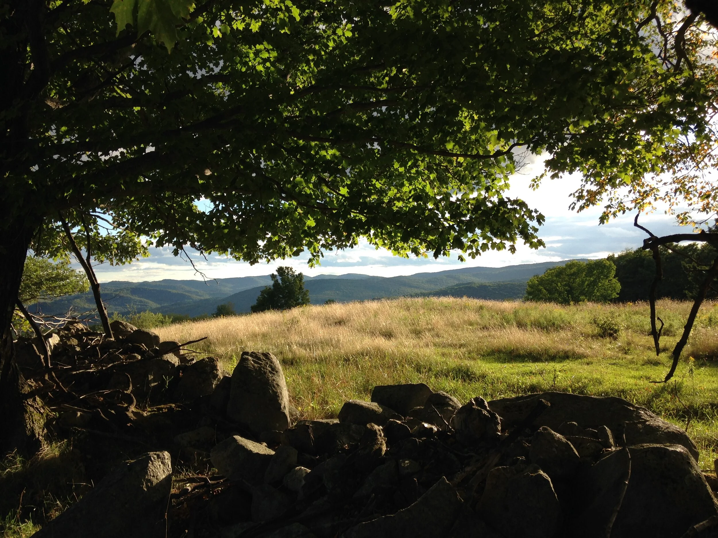 TOWN OFFICIALS AND EMPLOYEES — Town of Topsham, Vermont