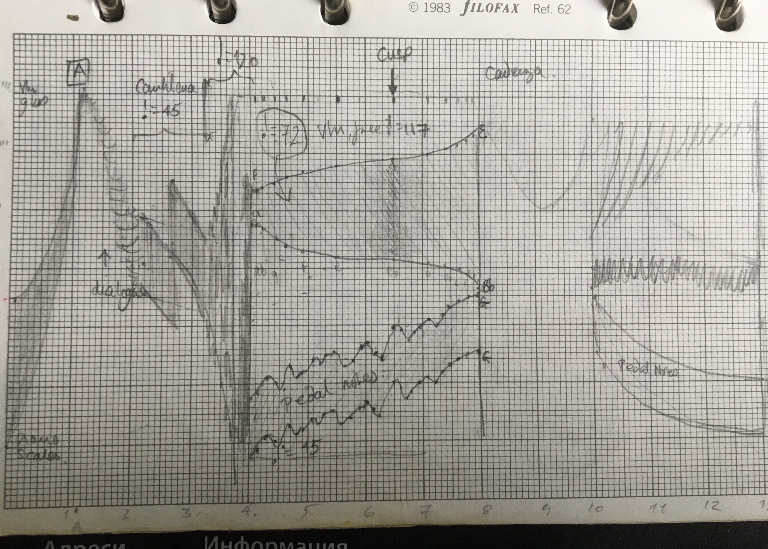 graph of Cusp first movement.jpeg