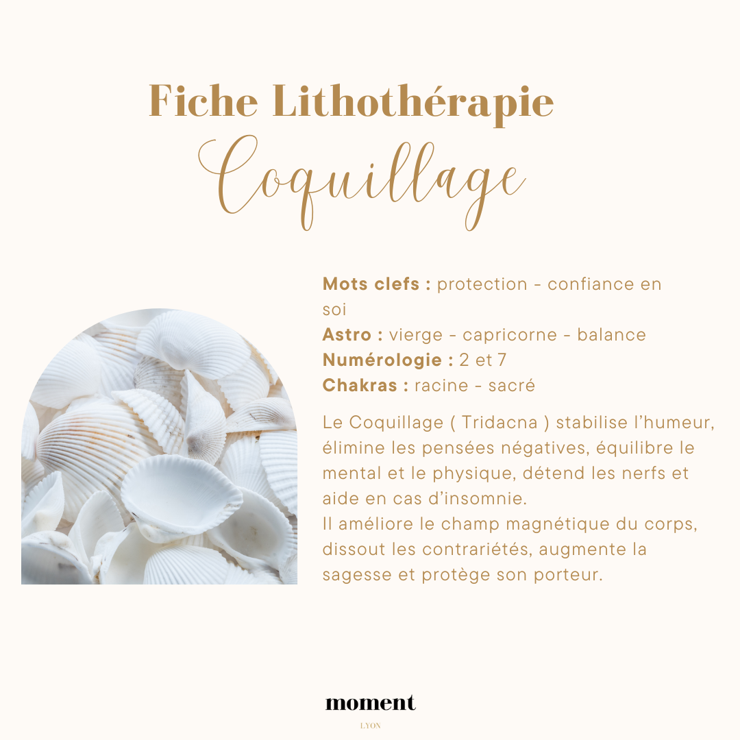 Fiche de lithothérapie sur le coquillage, avec description des bienfaits tels que la protection et la confiance en soi. Associé aux signes astro Vierge, Capricorne, Balance, et aux numérologies 2 et 7. Mention des chakras racine et sacré. Le coquilla