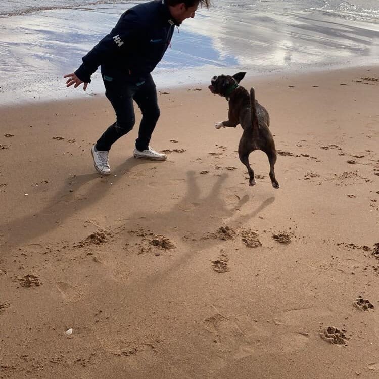 Sunday's are for beach walks and roast beef ❤️

#sunday #family #beach #walk #sea #scotland #positivevibes #outdoors #mentalhealth #dog #boxer #happypuppy #windfarm
