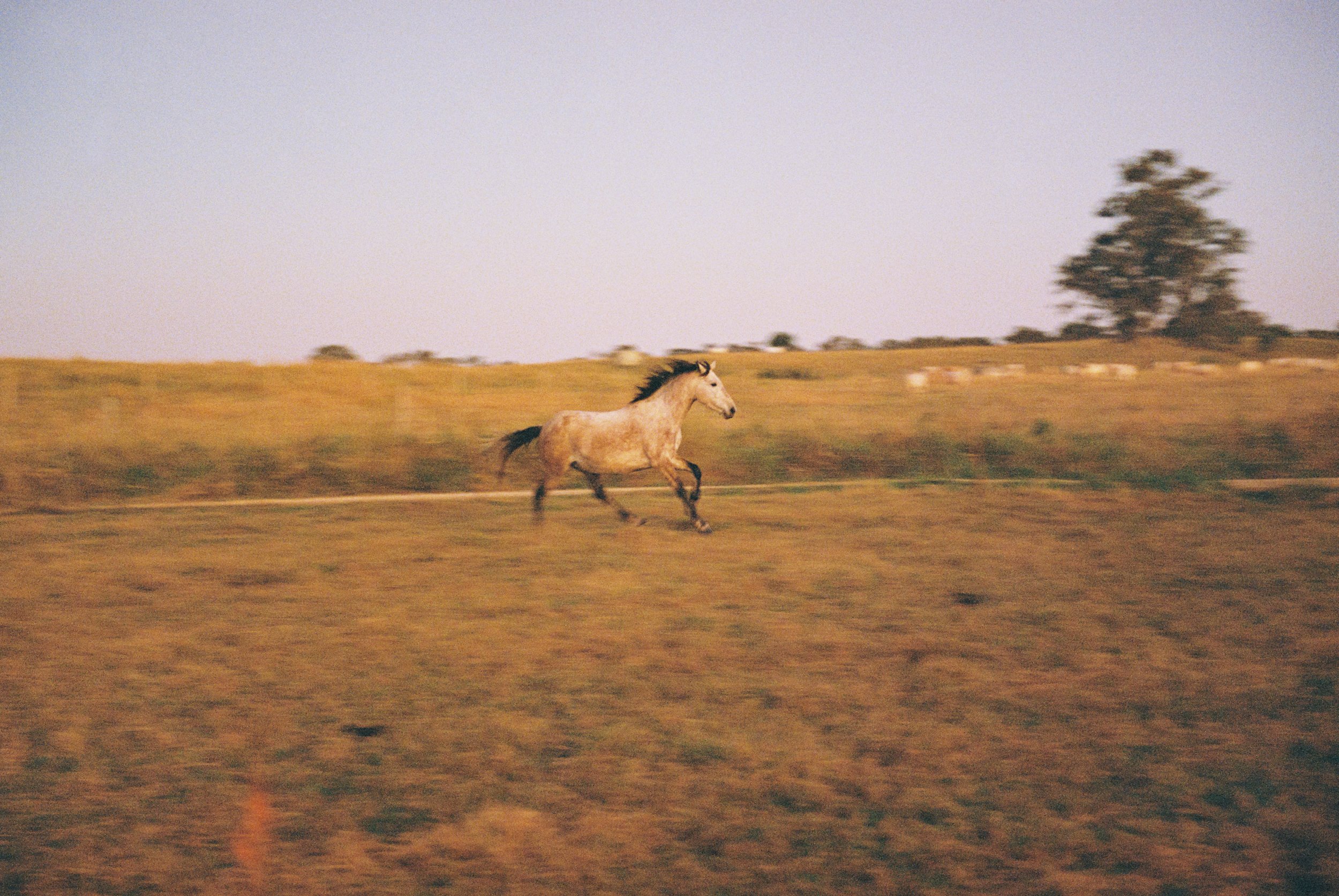 Holly-2.jpg