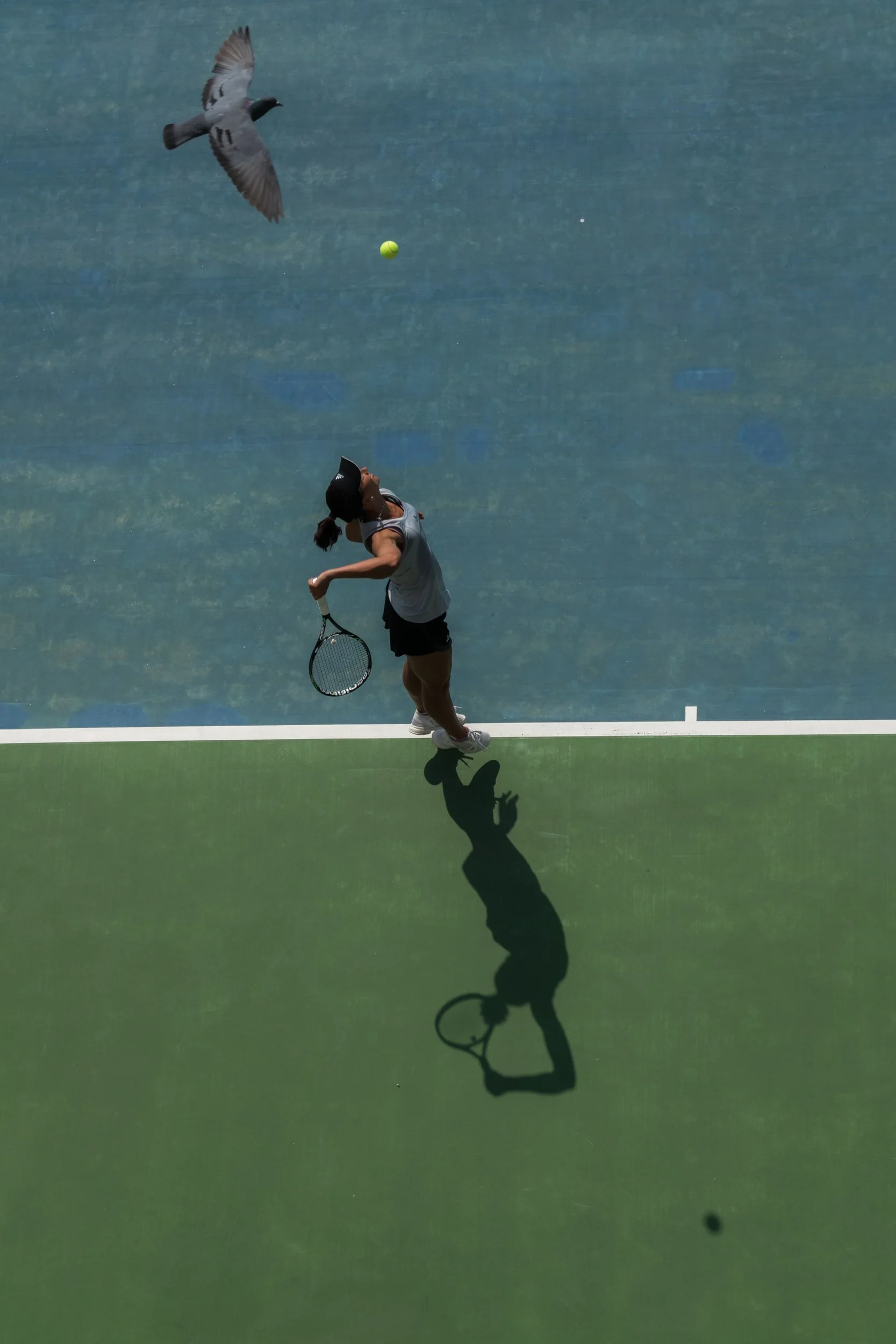 Board Meeting - August 15, 2016