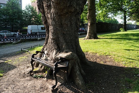 hungrytree.jpg