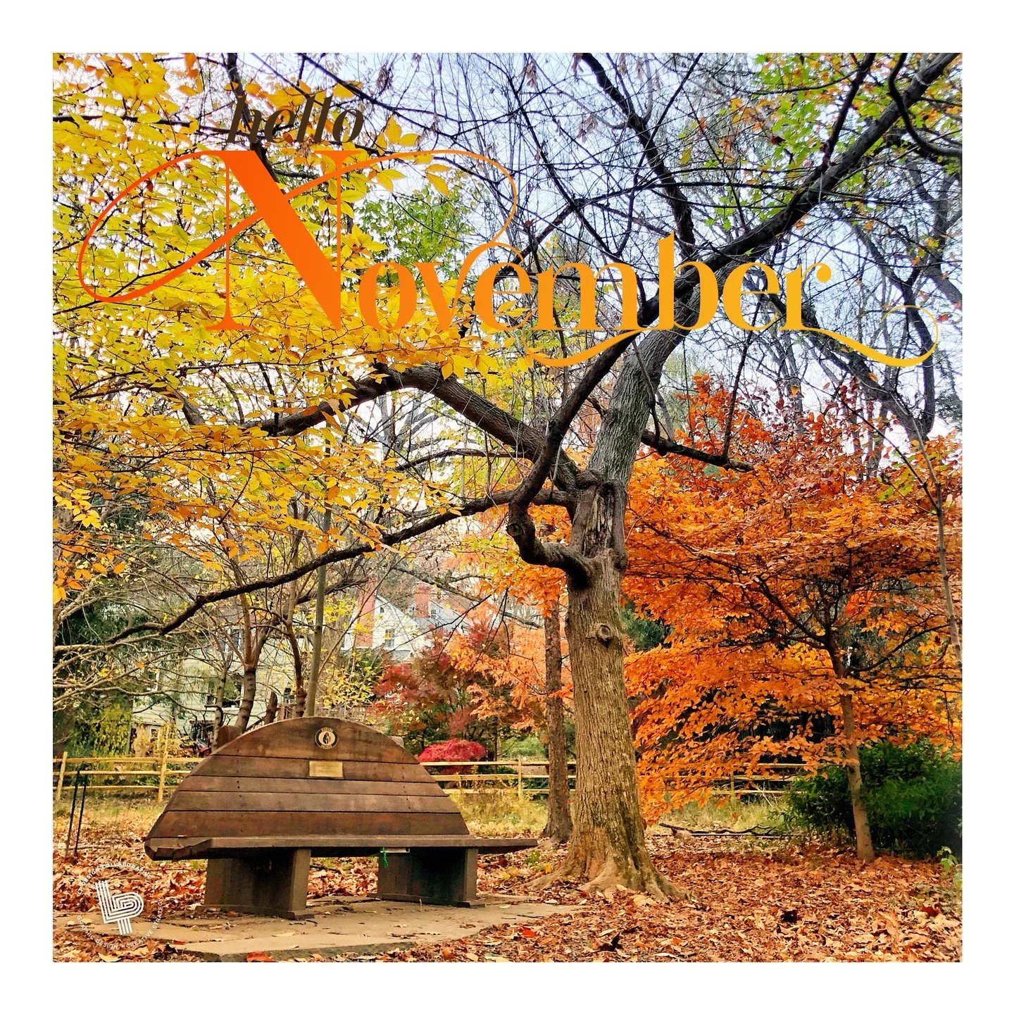 Hello, November&hellip;a month for reflection, gratitude, and transformation.

Five years ago, I was laid off from my long-time design job and unsure what was next. Then one small freelance project reignited something big &mdash; my love for the crea