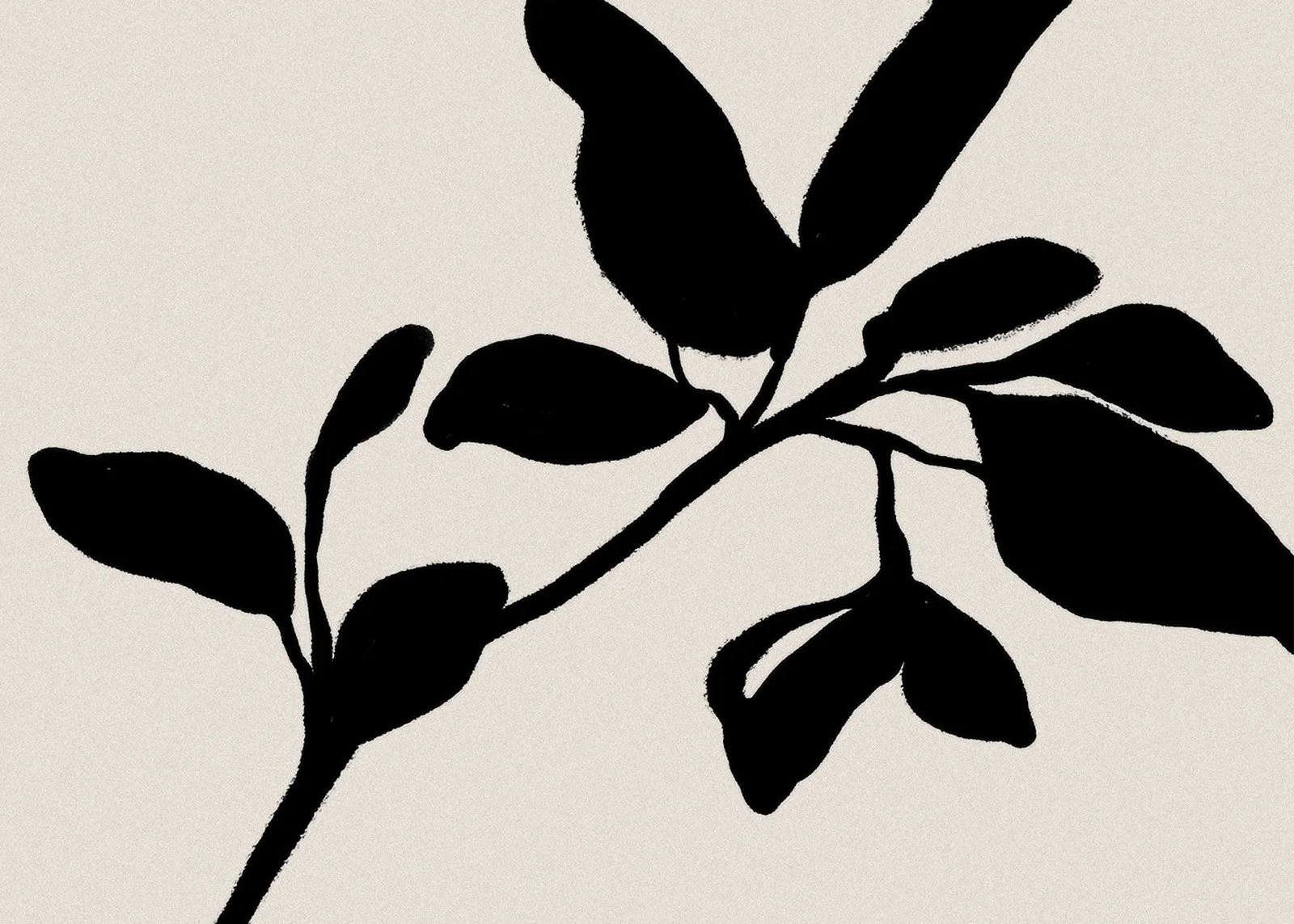 Black leaves illustration