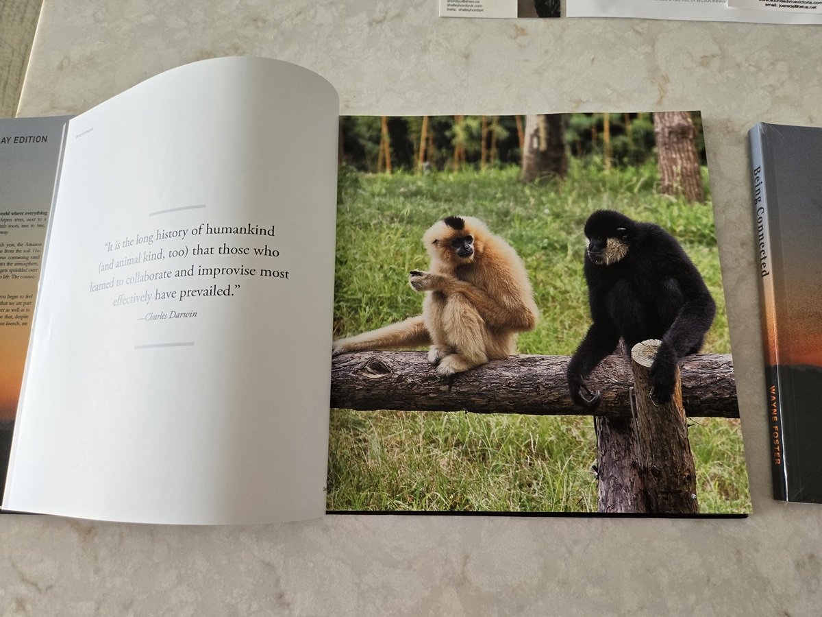 inside monkeys.jpg