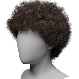 afro_curly.png