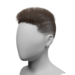 curly_high_top_fade.png