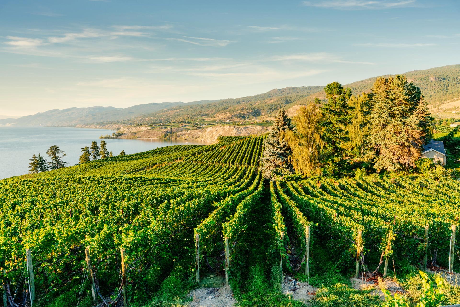 The Globe and Mail Okanagan Valley Wine Tour