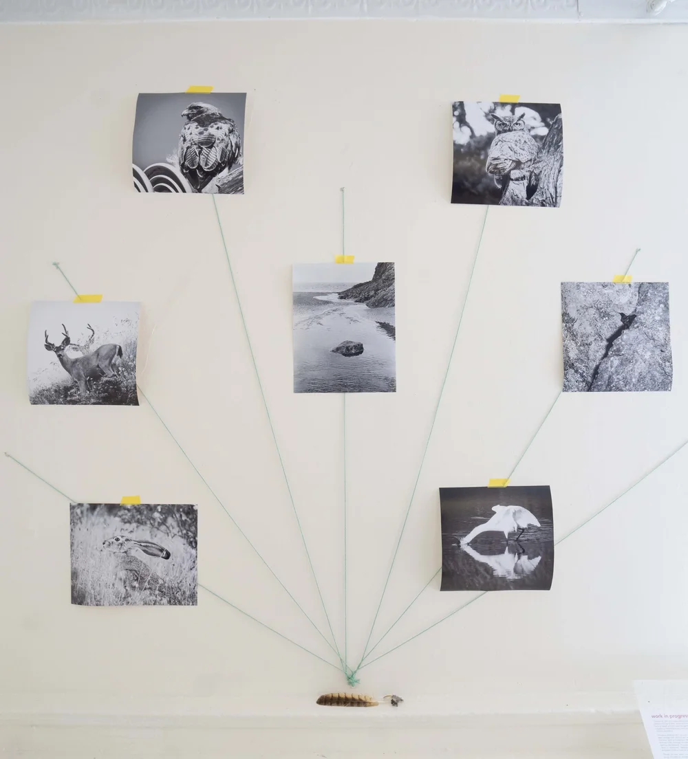 HL - photo array - small.jpeg