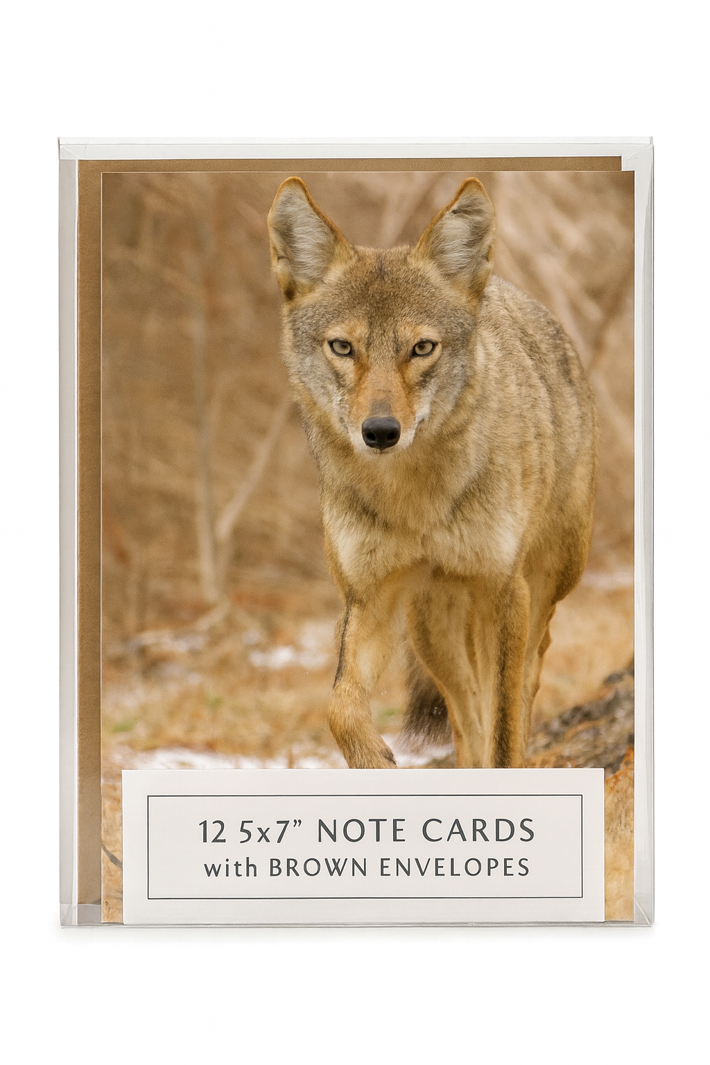 Central Texas Wildlife Notecards: 12 Designs with Envelopes