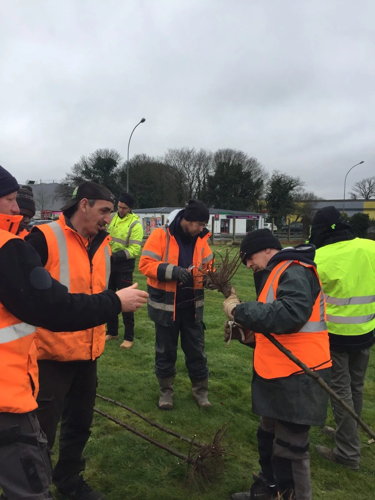 WhatsApp Image 2022-03-11 at 10.42.51.jpeg