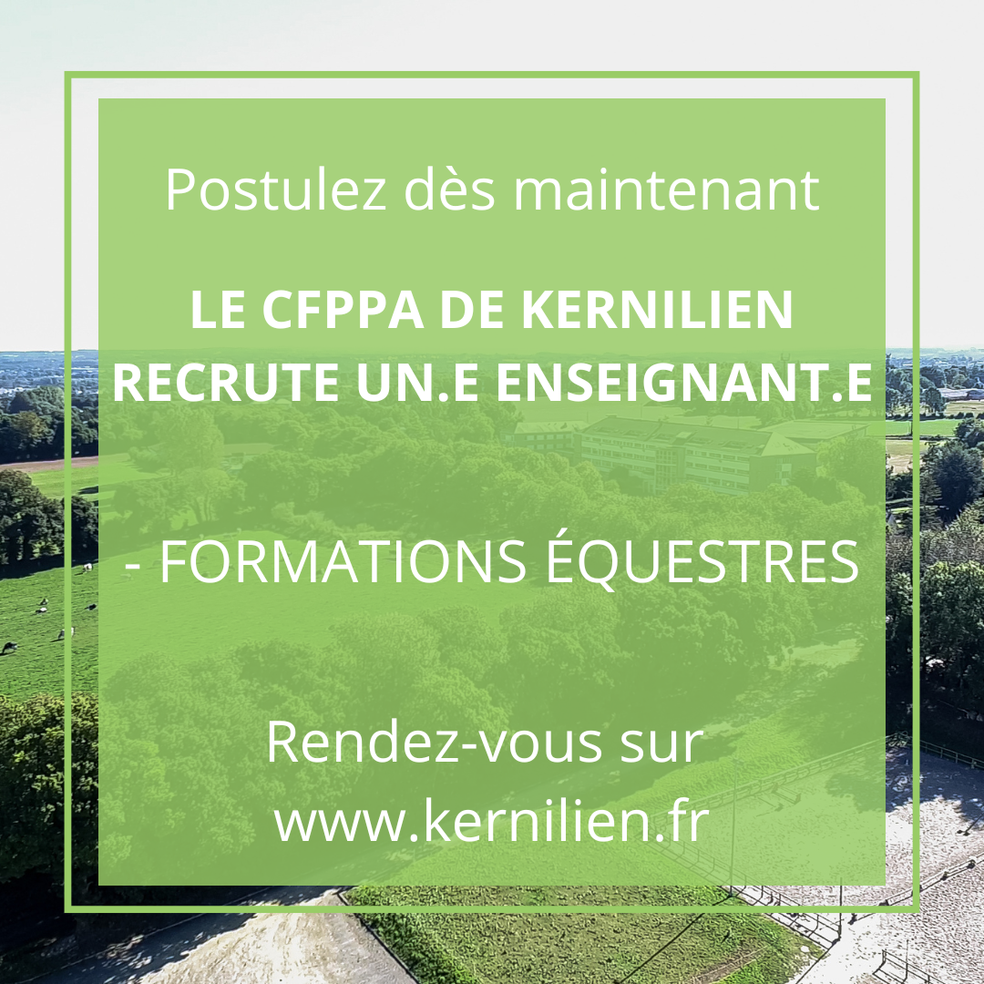 On recrute ! 