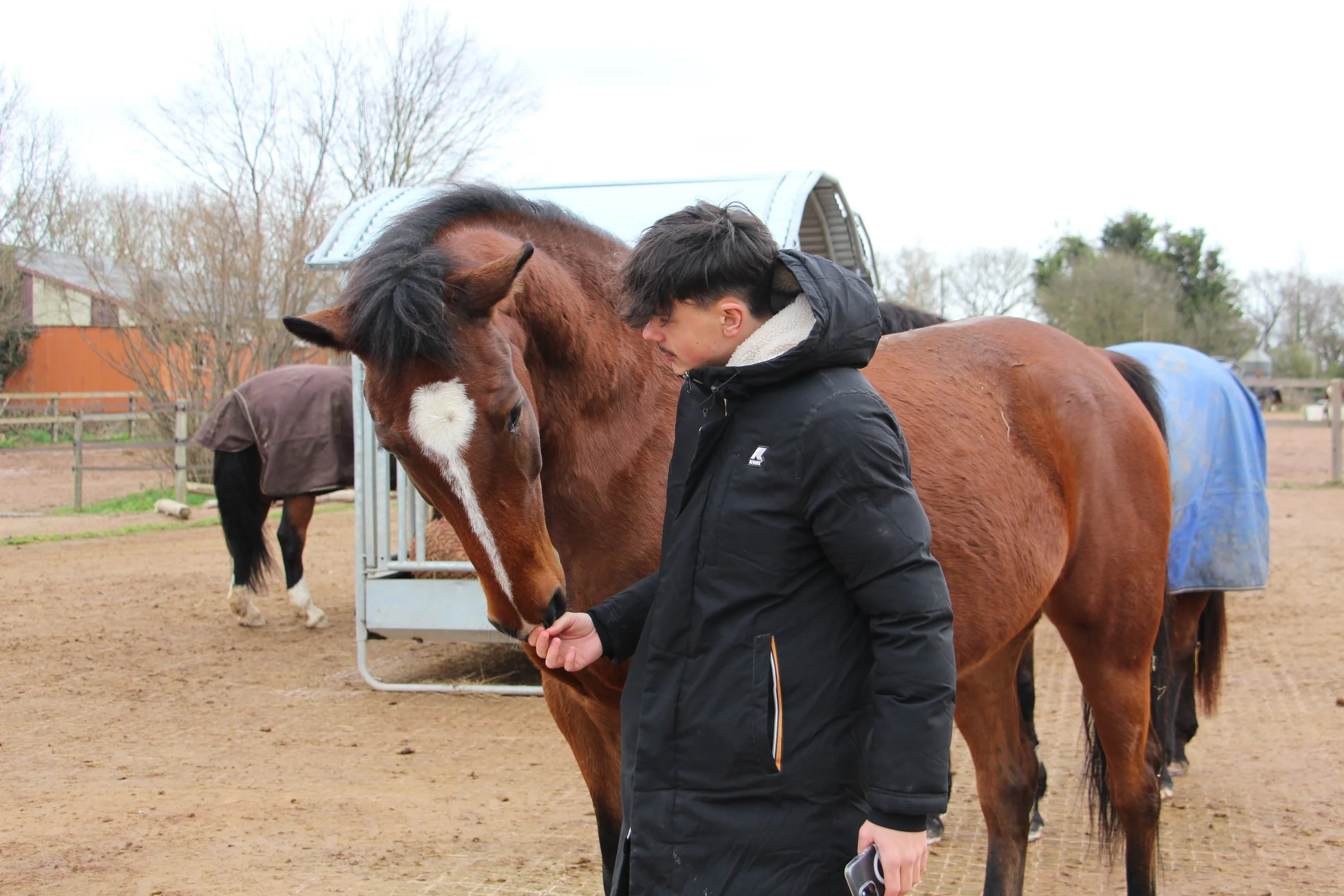 Témoignage d’un ancien élève du CS ETJE : un retour d’expérience depuis le Canada