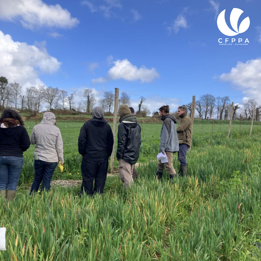 Les BP REA FAD en visite aux Vergers de Kerverder 