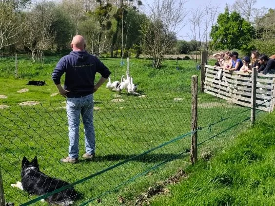 🐑🐕 TP Chiens de troupeau pour nos BP REA FPC !