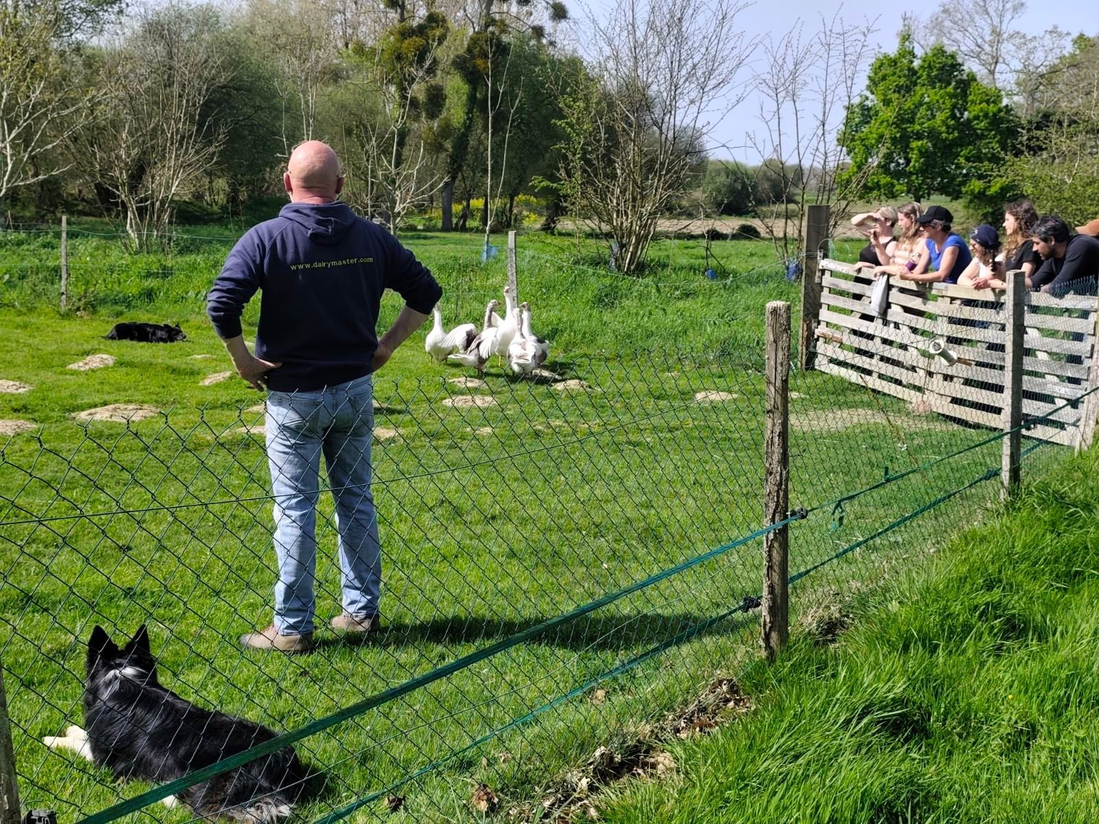 WhatsApp Image 2026-04-09 at 10.18.45.jpeg