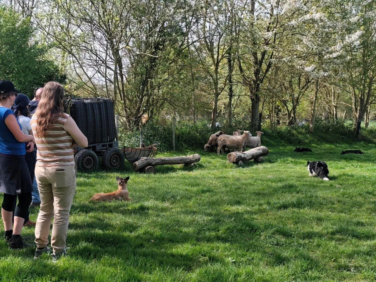 WhatsApp Image 2026-04-09 at 10.18.37 (1).jpeg