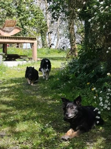 WhatsApp Image 2026-04-09 at 10.18.37 (2).jpeg