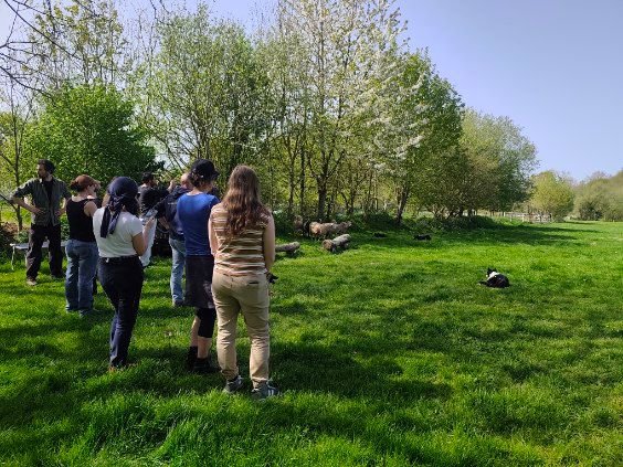 WhatsApp Image 2026-04-09 at 10.18.37 (3).jpeg