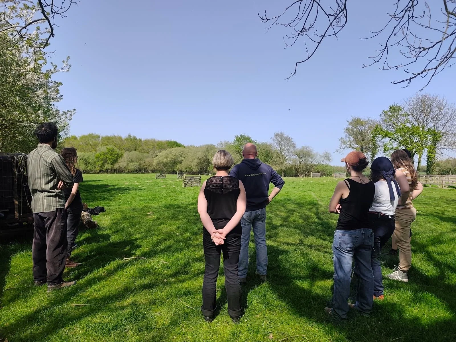 WhatsApp Image 2026-04-09 at 10.18.37.jpeg