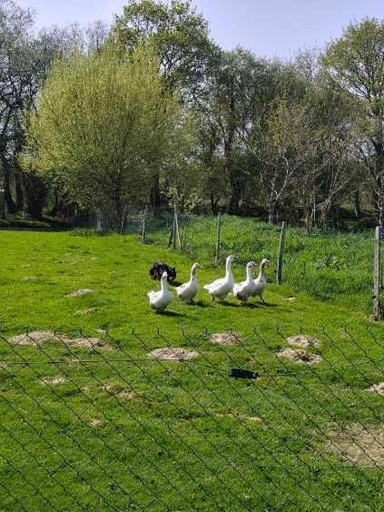 WhatsApp Image 2026-04-09 at 10.18.38 (2).jpeg