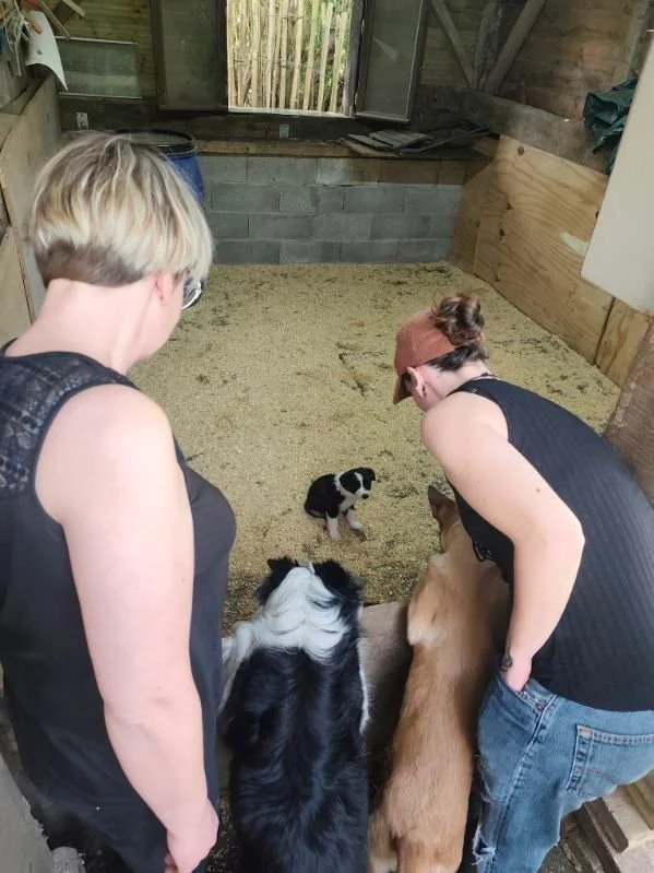 WhatsApp Image 2026-04-09 at 10.18.38.jpeg