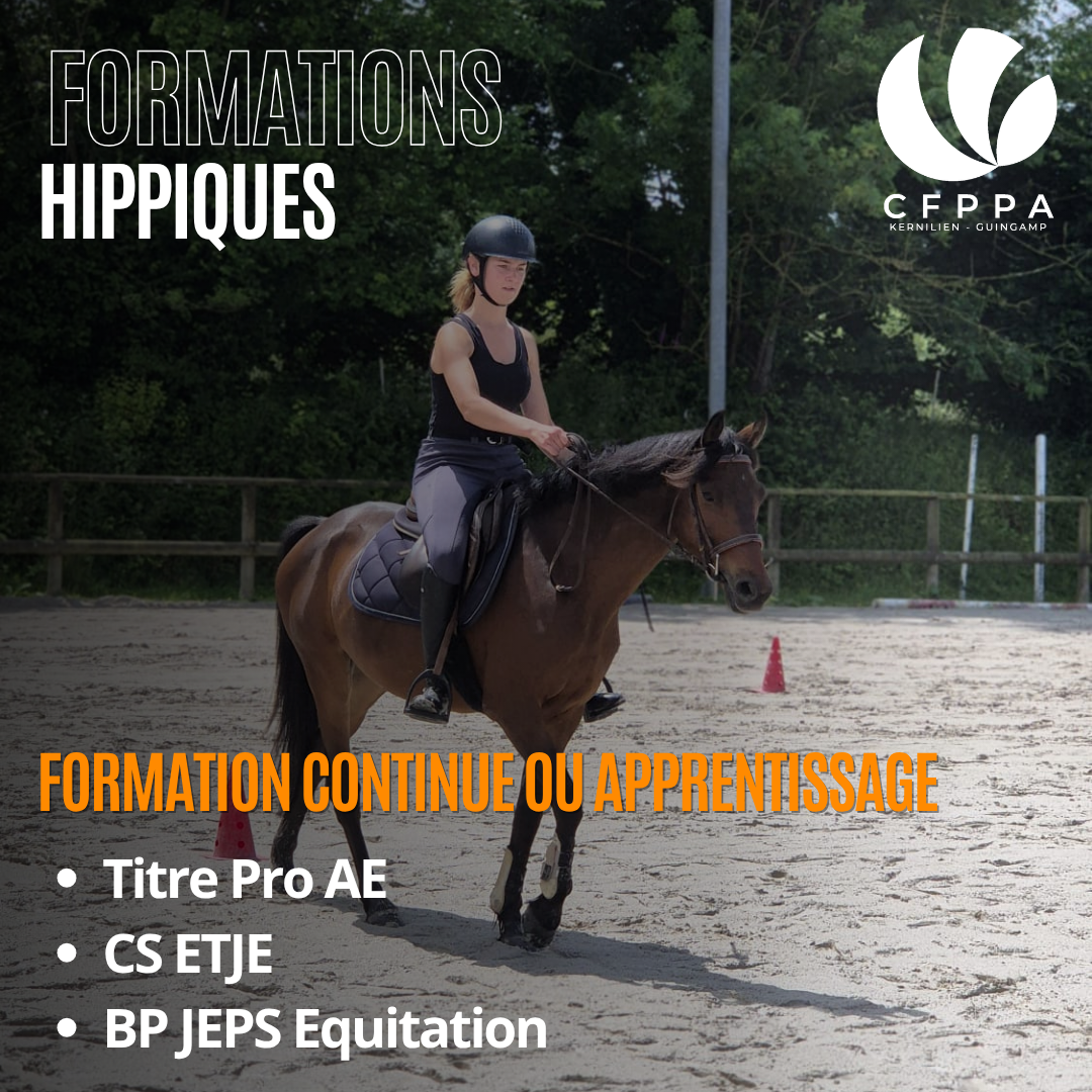 Il reste des places ! 