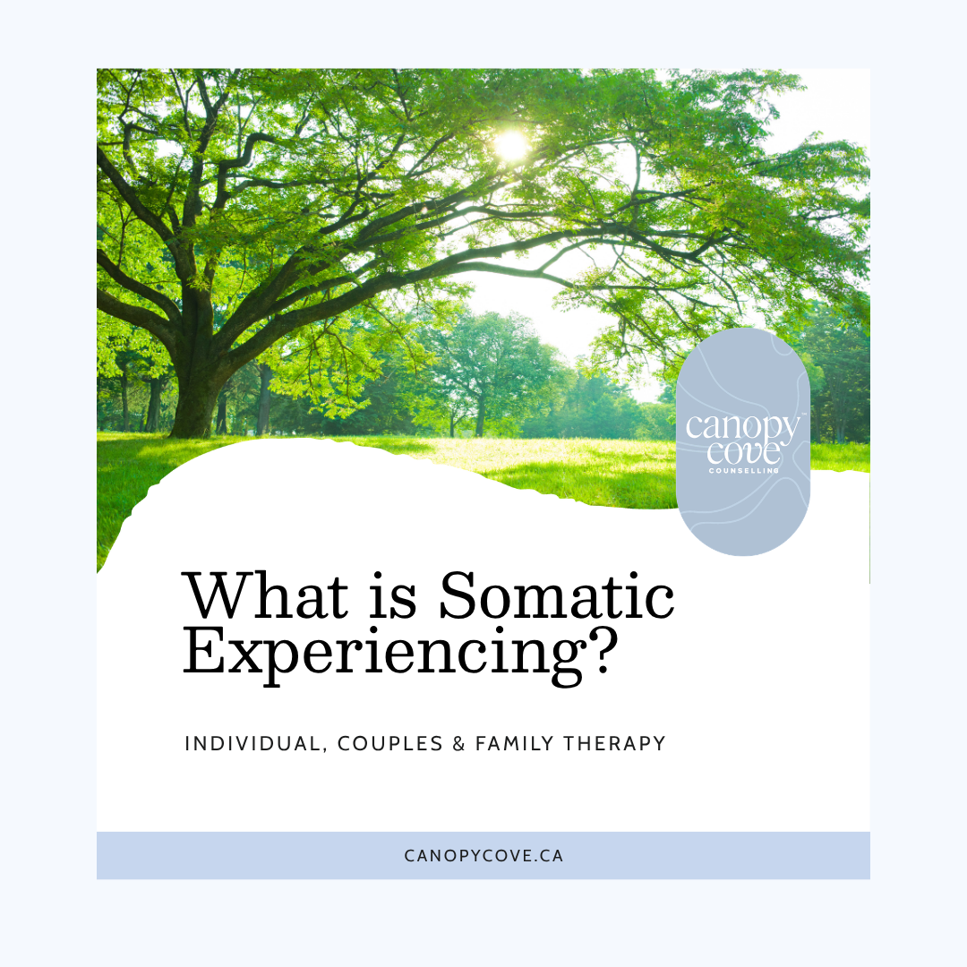 What Is Somatic Experiencing?