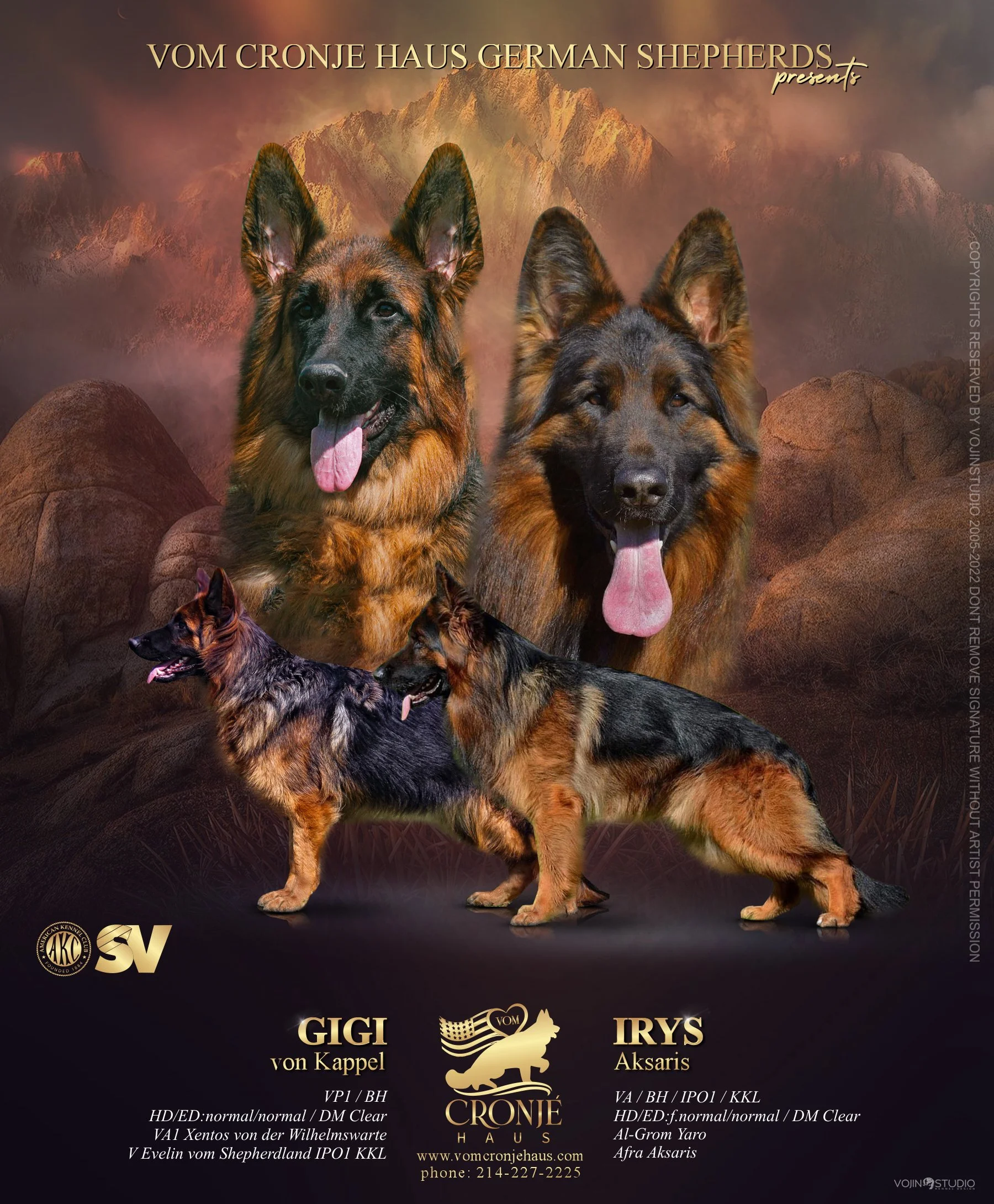 Irys Sasha.jpeg