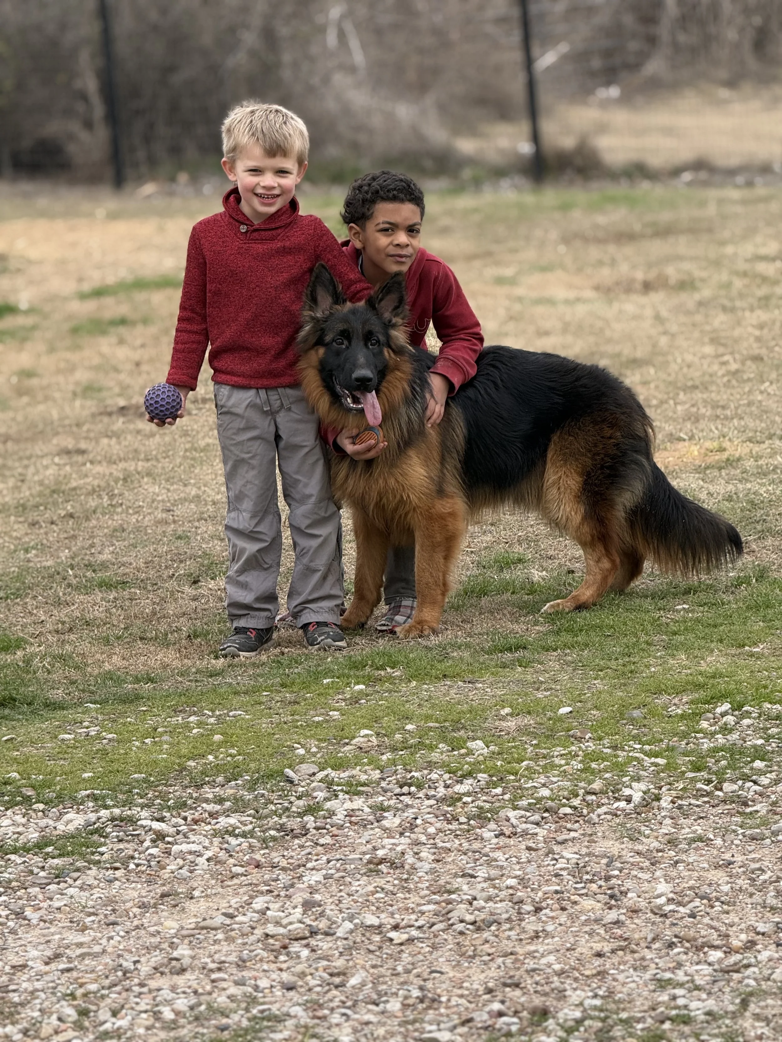 Two young boys standing on a grassy and rocky field holding a German Shepherd dog between them outdoors.