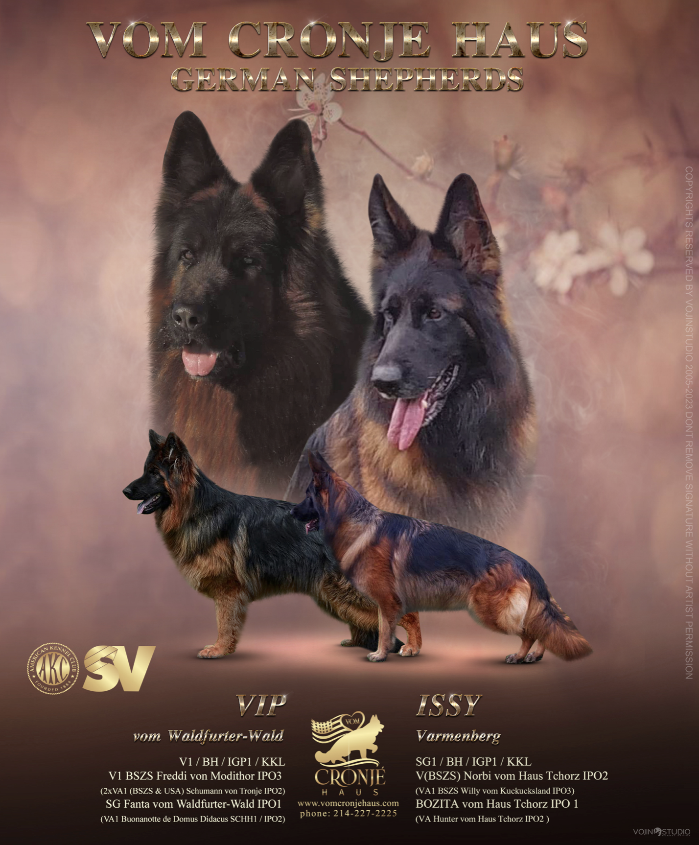Issy VIP Breeding Poster.png